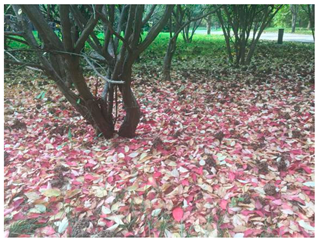 Sustainability 13 07615 i003