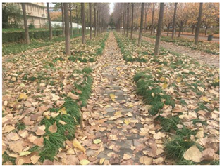 Sustainability 13 07615 i004