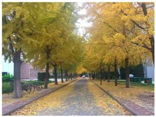 Sustainability 13 07615 i009