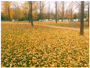 Sustainability 13 07615 i015