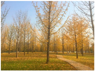 Sustainability 13 07615 i021