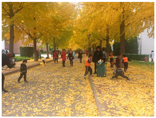 Sustainability 13 07615 i026