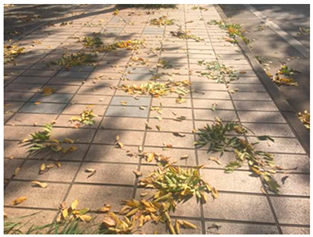 Sustainability 13 07615 i029