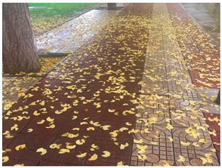 Sustainability 13 07615 i033