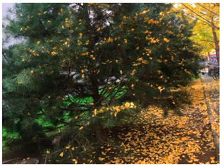 Sustainability 13 07615 i036