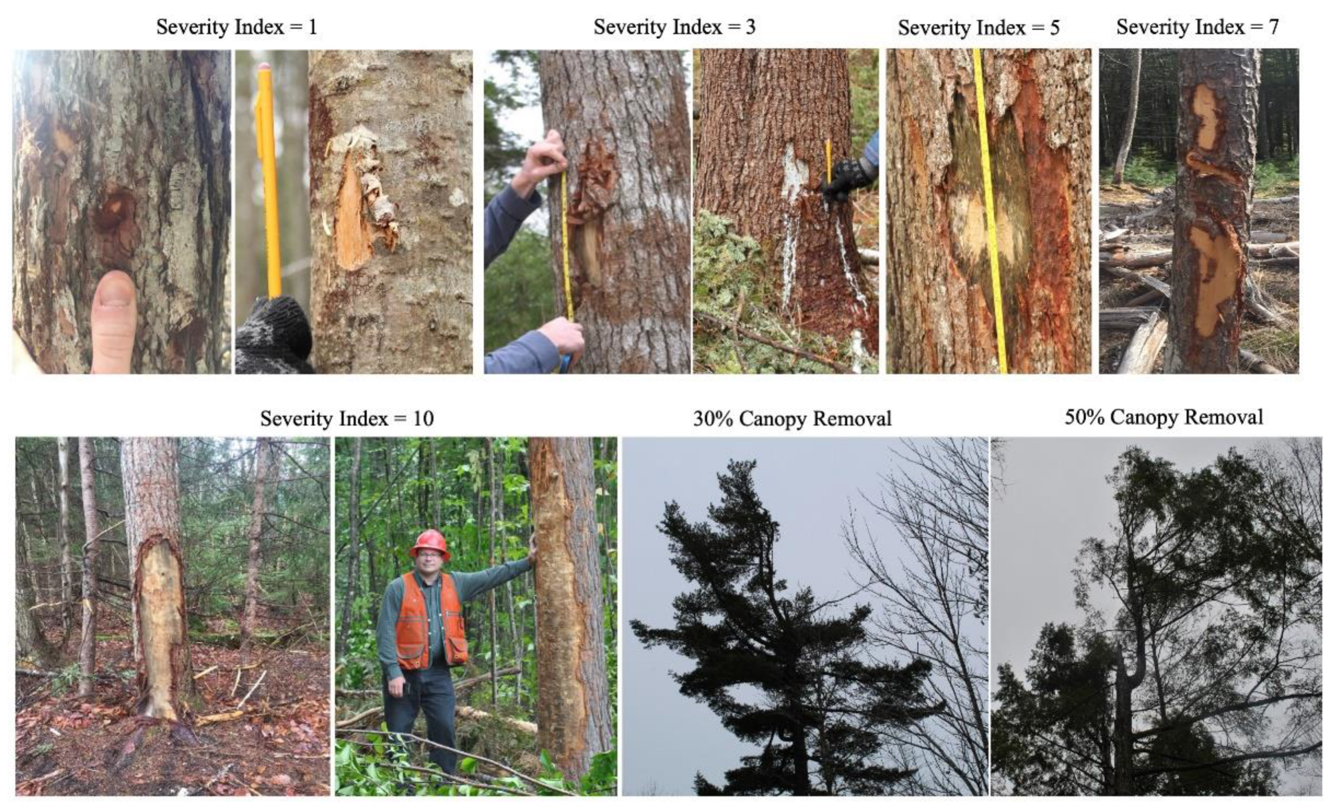 Sustainability 13 07641 g002