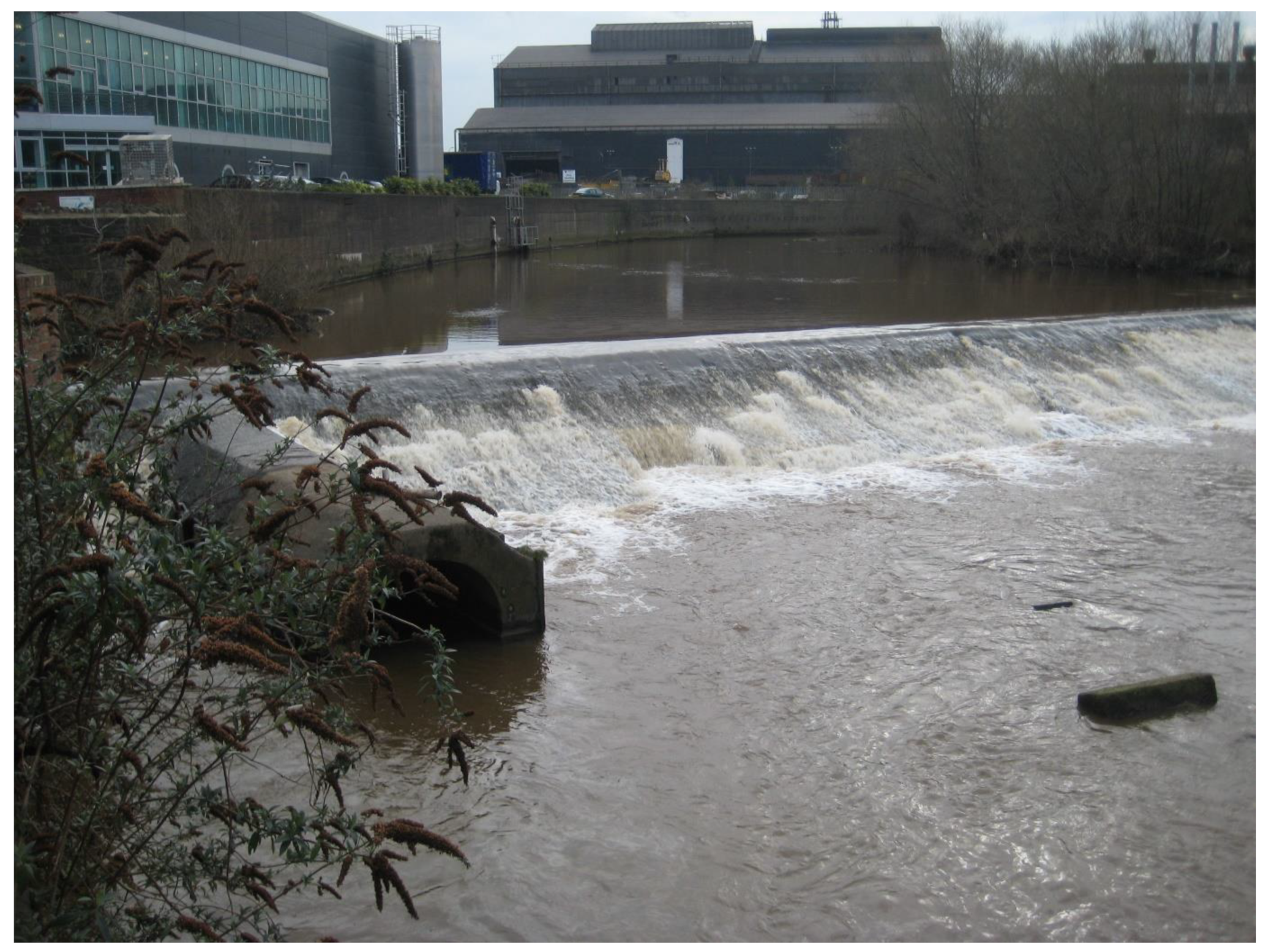 Sustainability 13 07646 g002