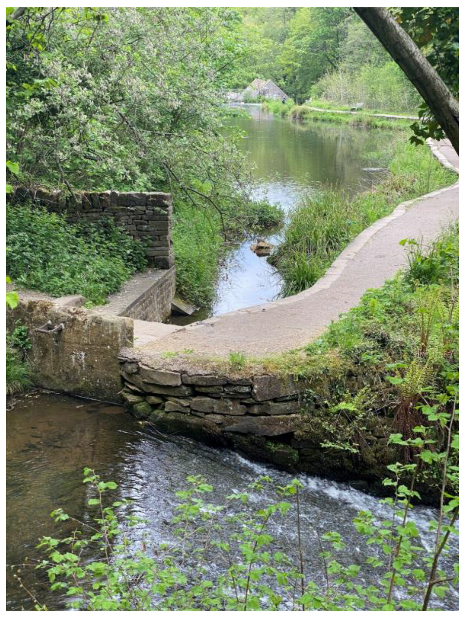 Sustainability 13 07646 g011