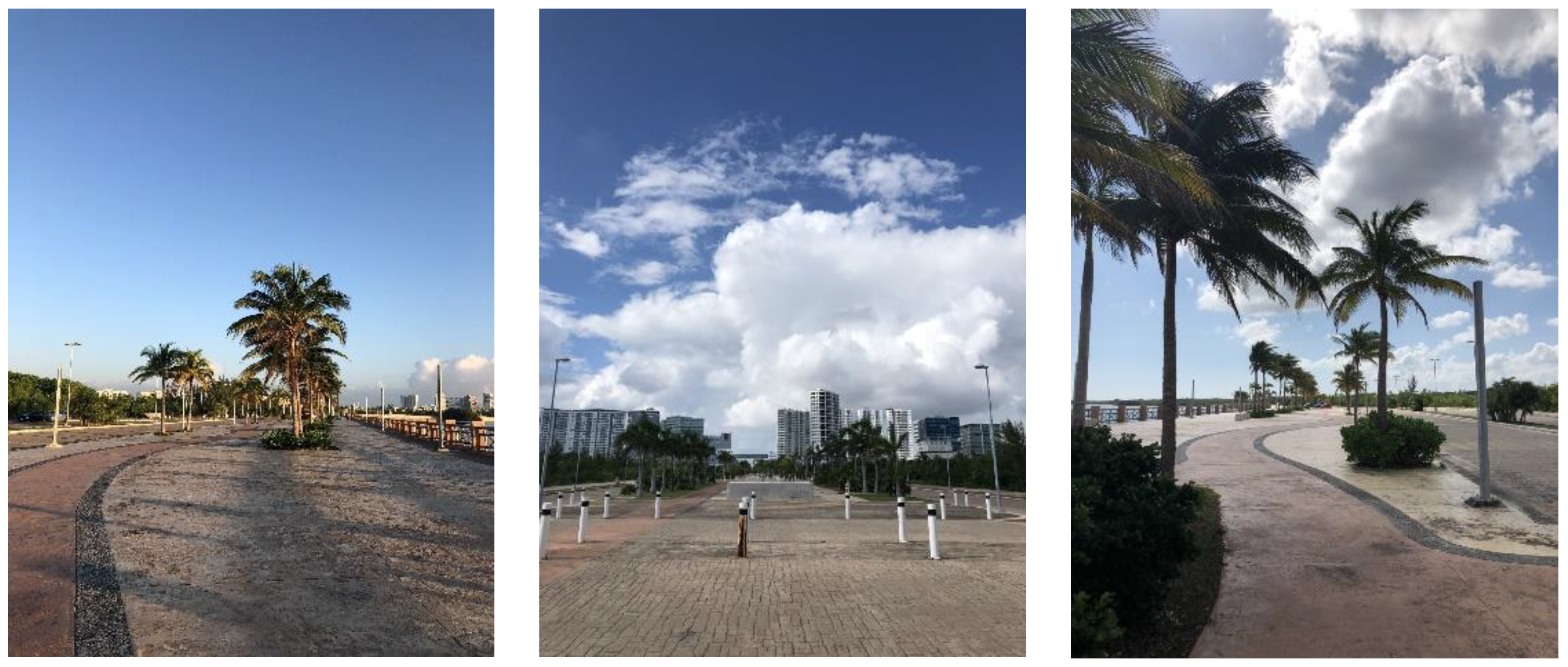 Sustainability 13 07670 g002