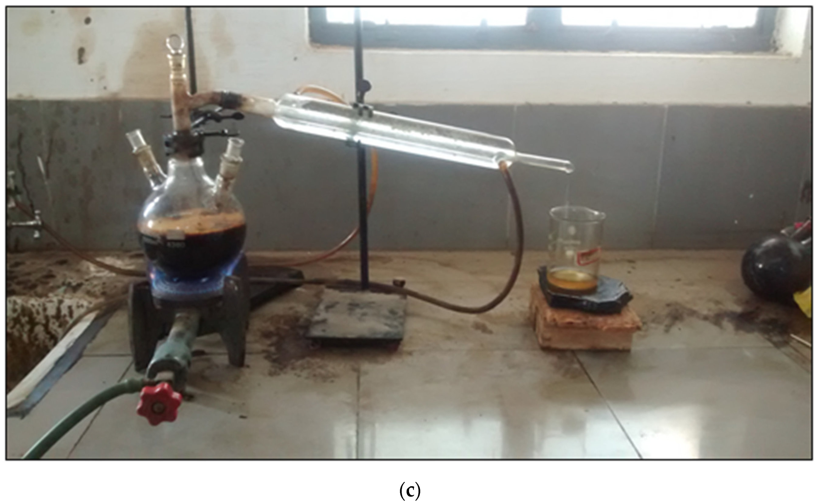 Sustainability 13 07688 g001b