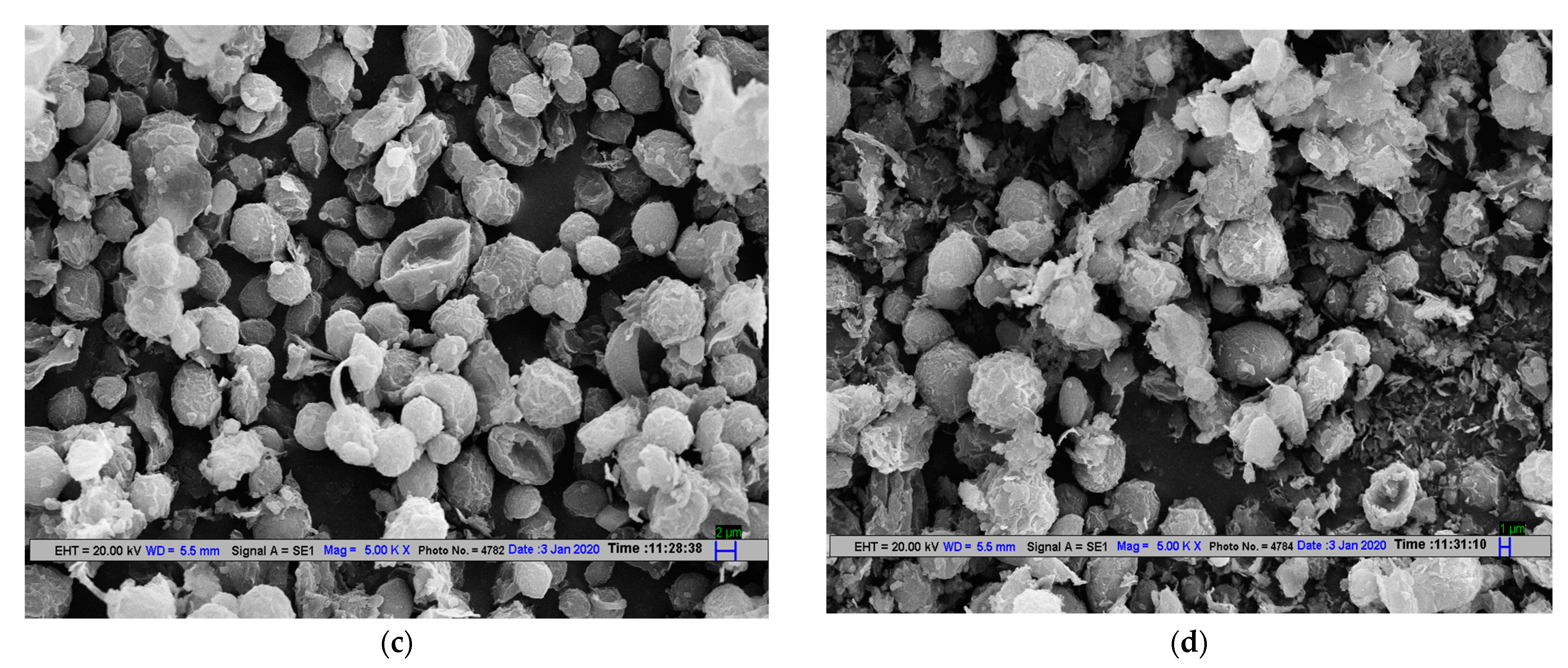 Sustainability 13 07690 g005b