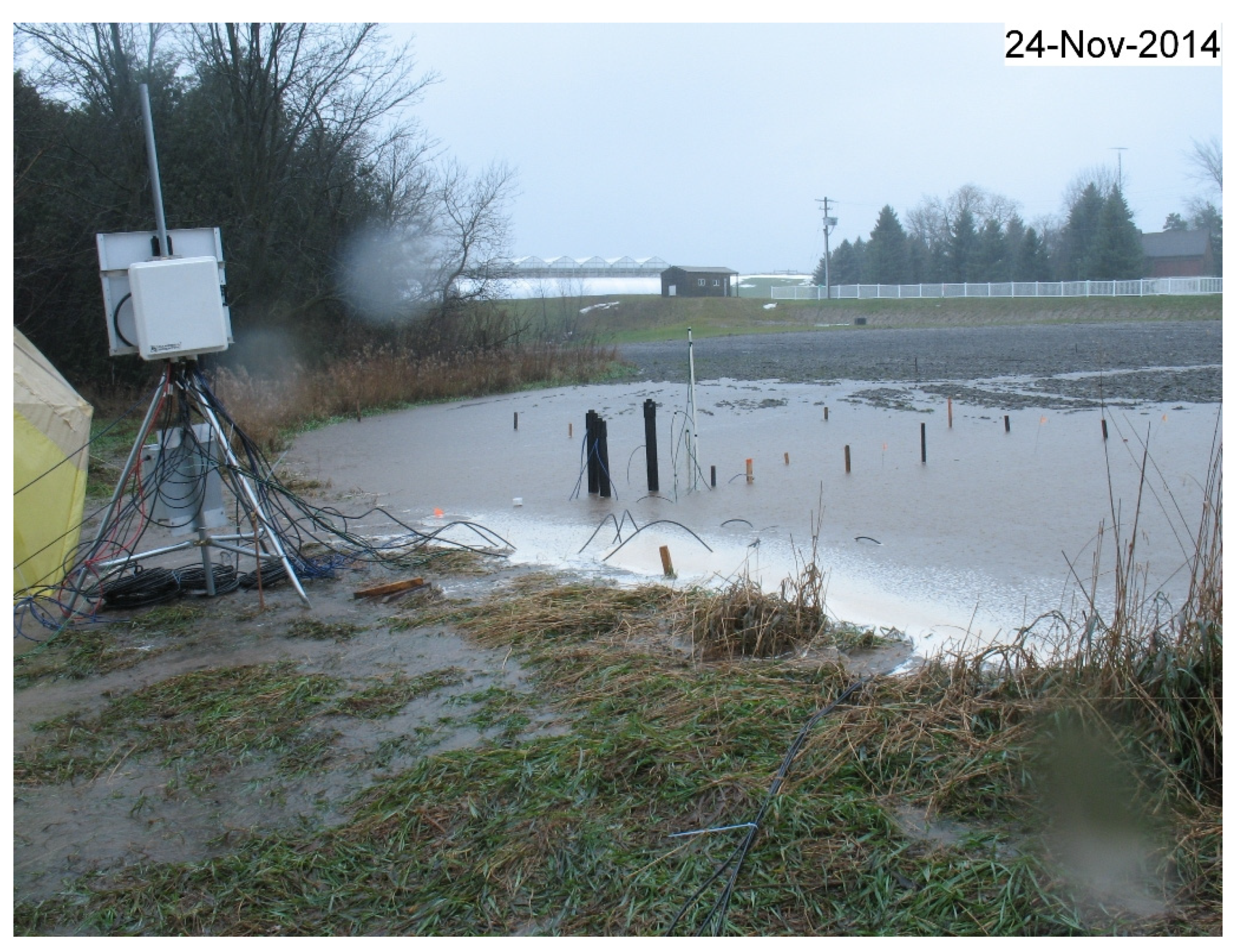 Sustainability 13 07695 g010