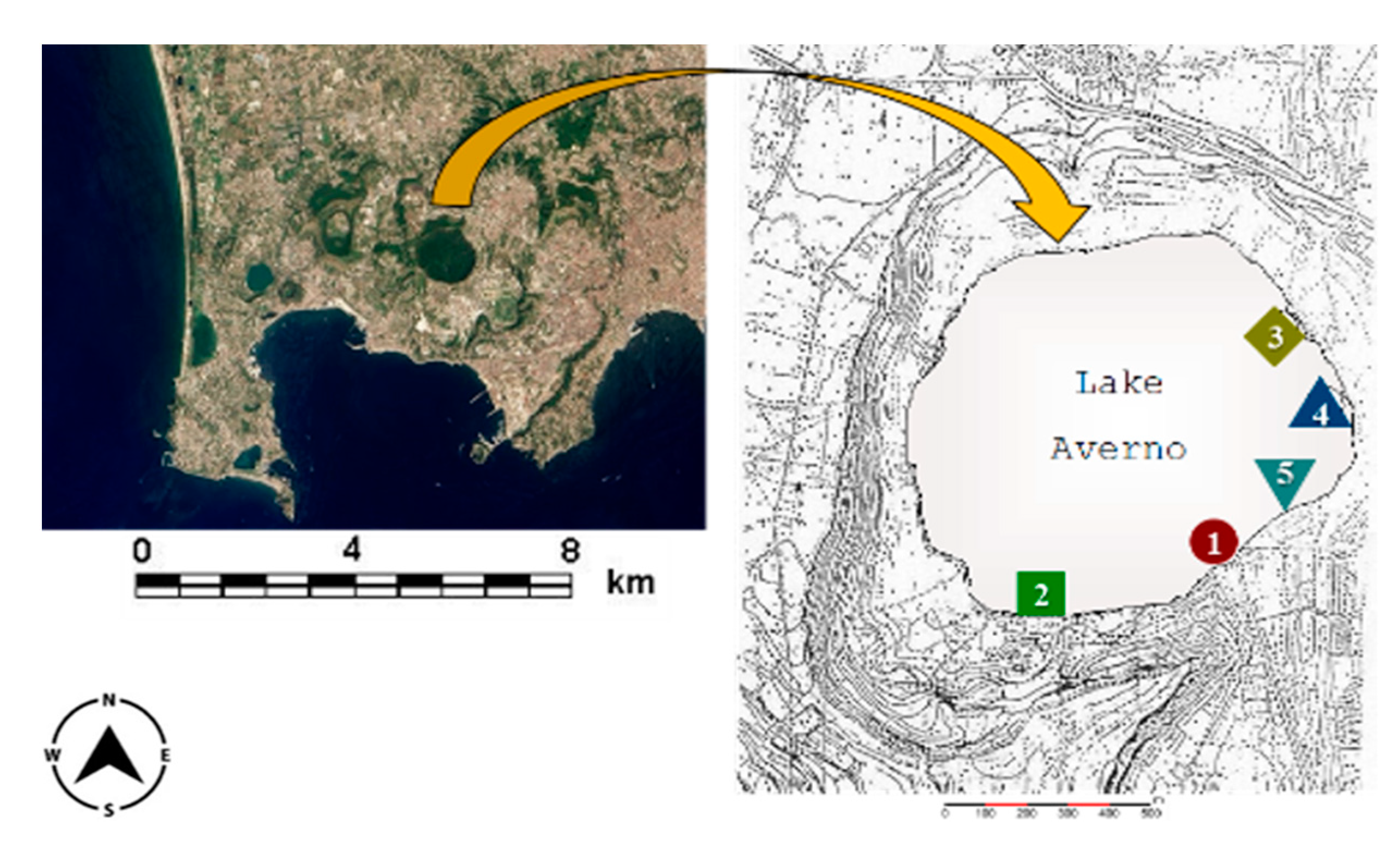Sustainability 13 07745 g001