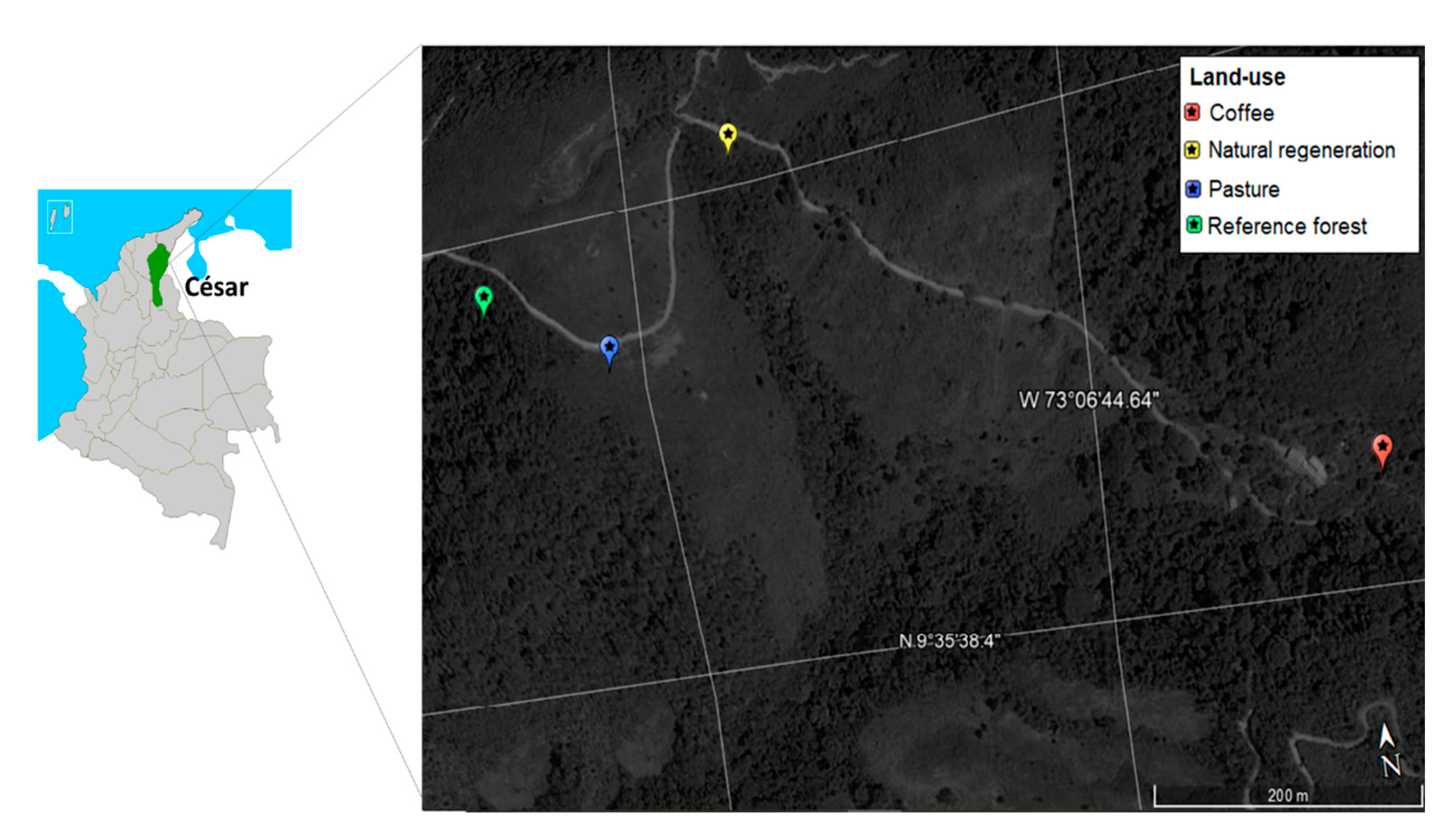 Sustainability 13 07768 g001