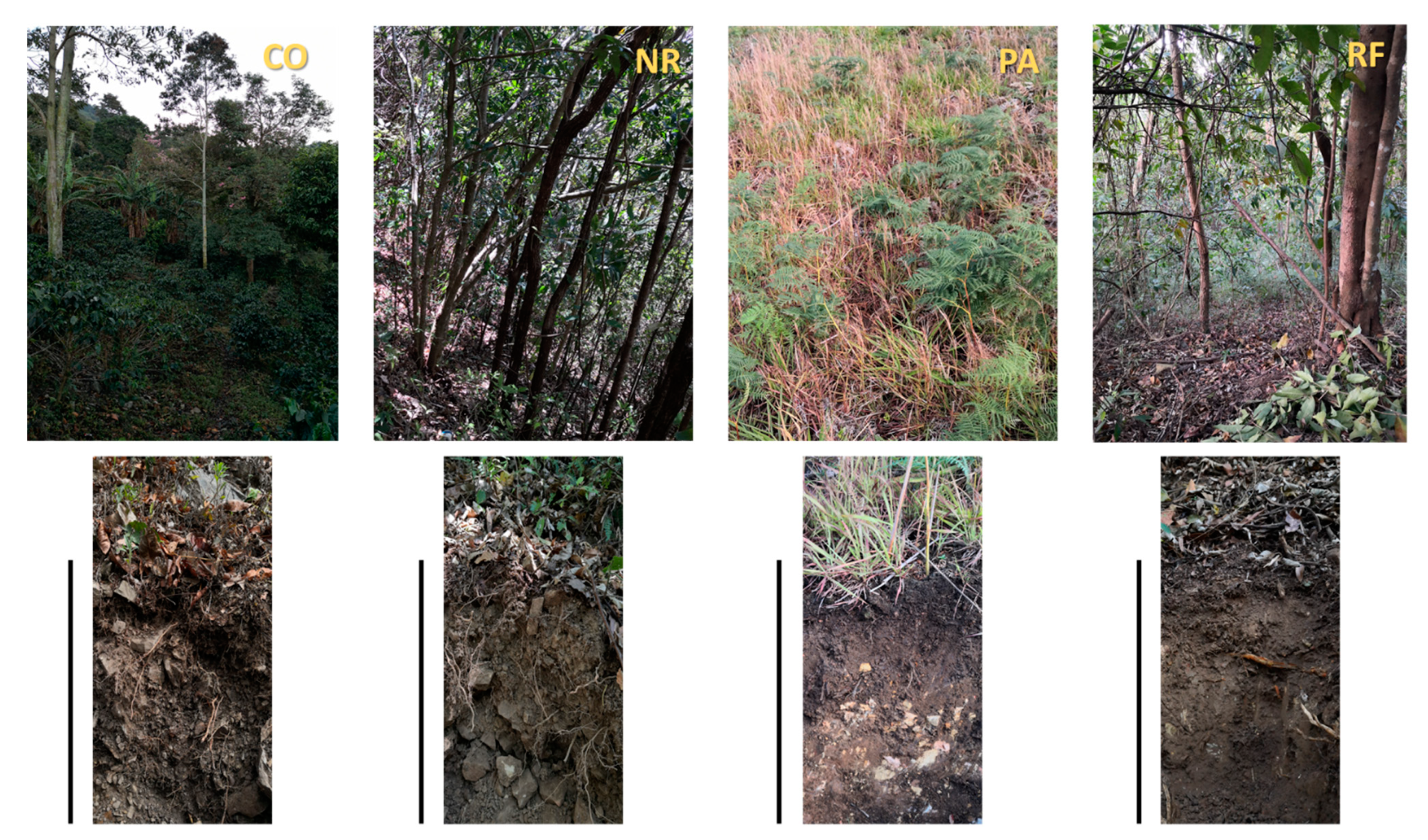 Sustainability 13 07768 g002