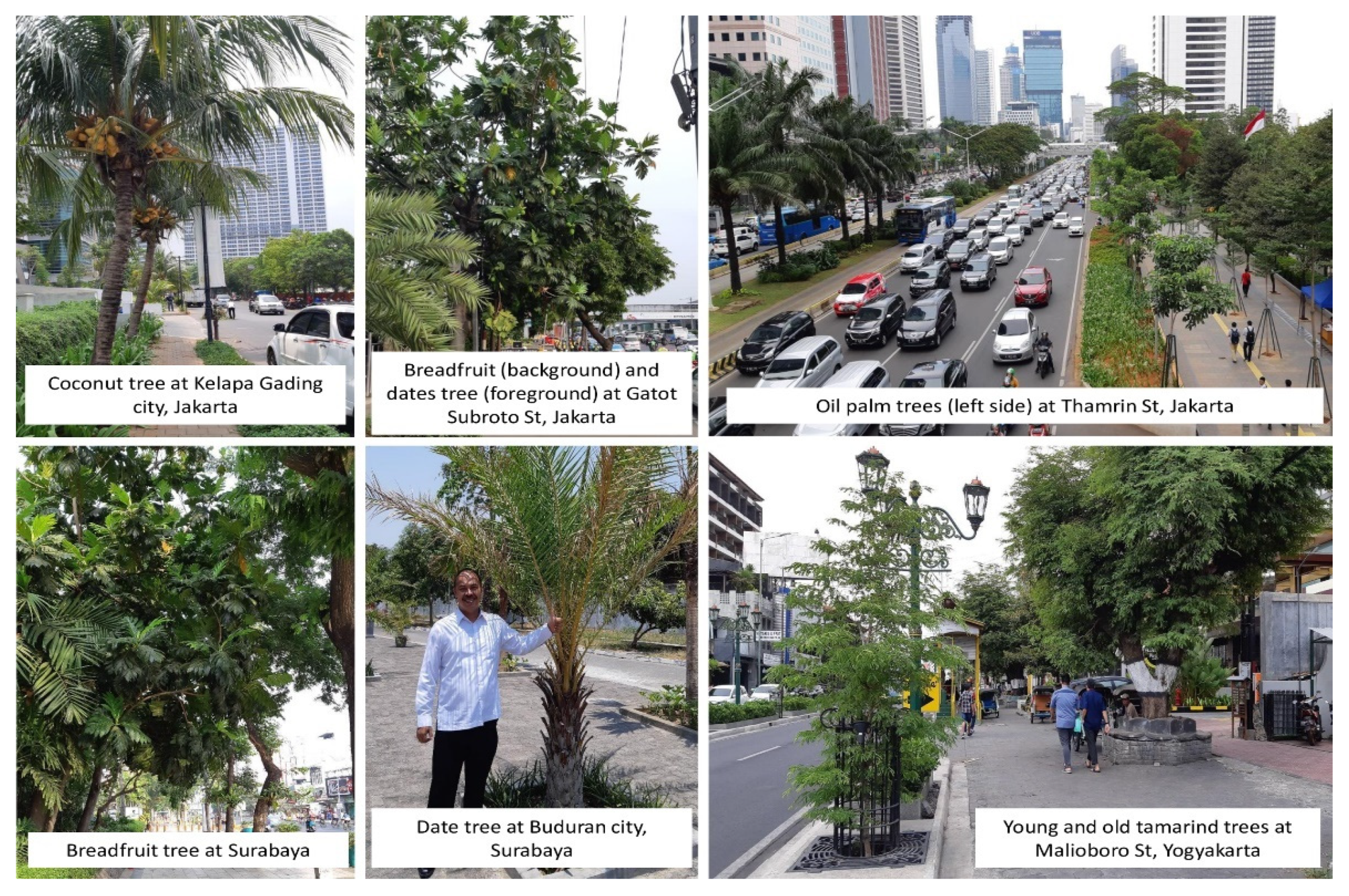 Sustainability 13 07835 g004 Sustainability 13 07835 g004