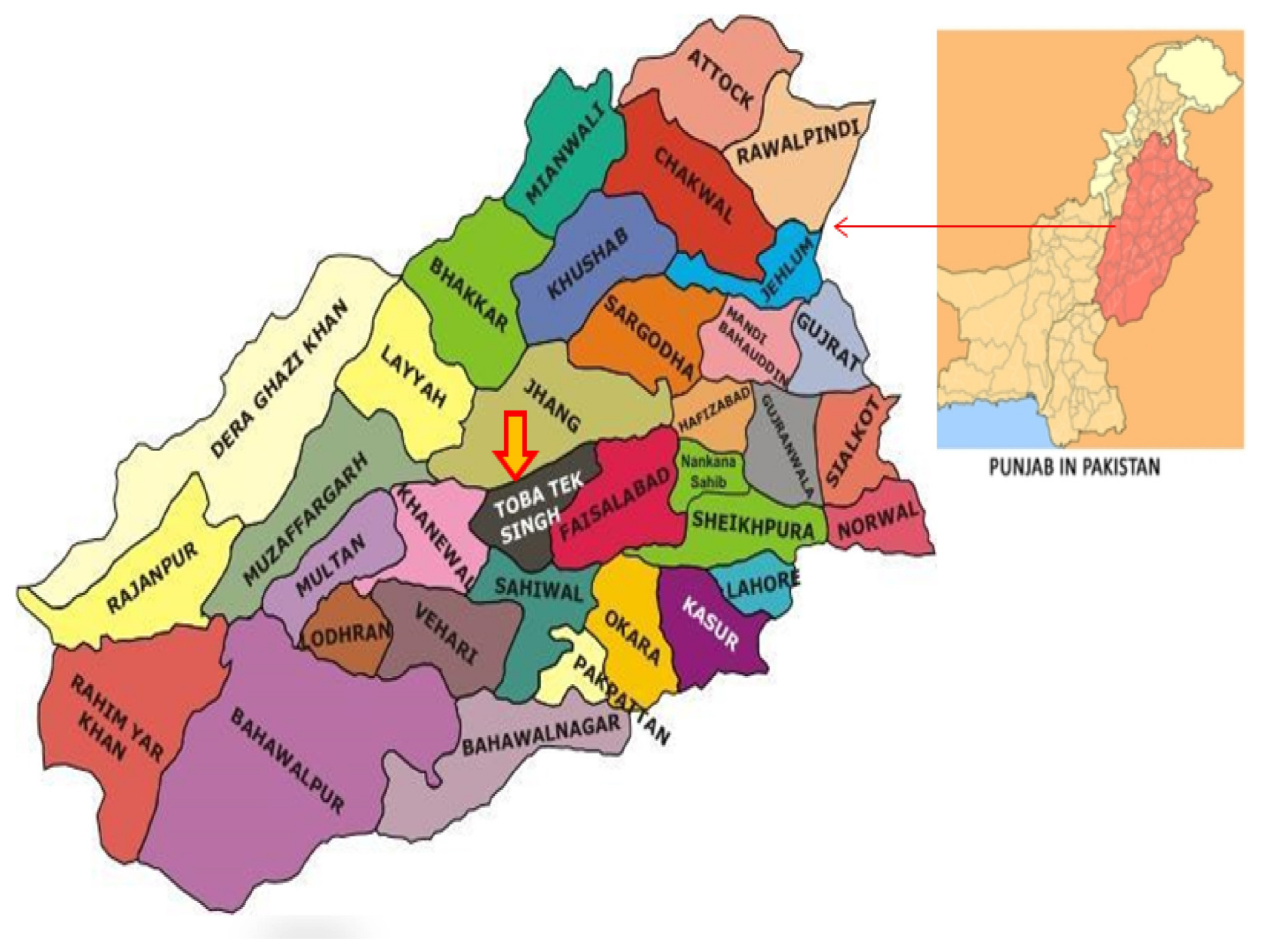 Sustainability 13 07873 g001