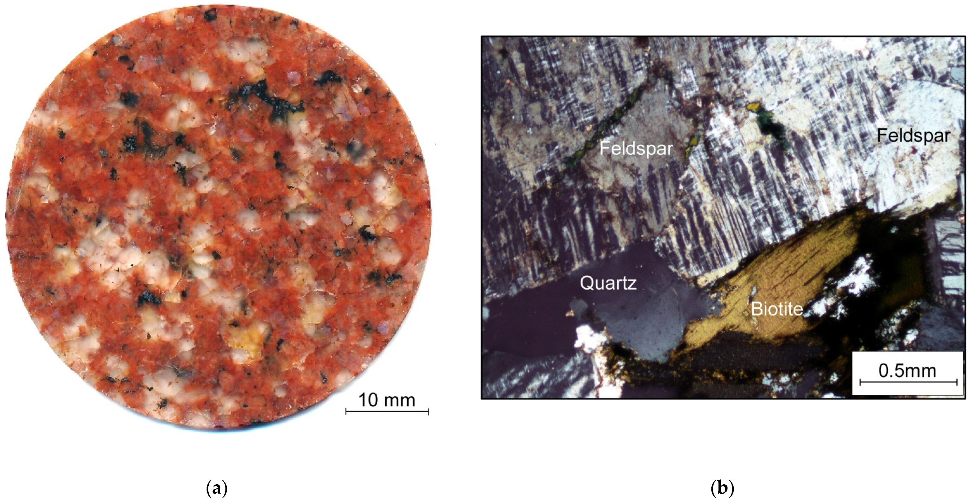 Sustainability 13 07889 g001