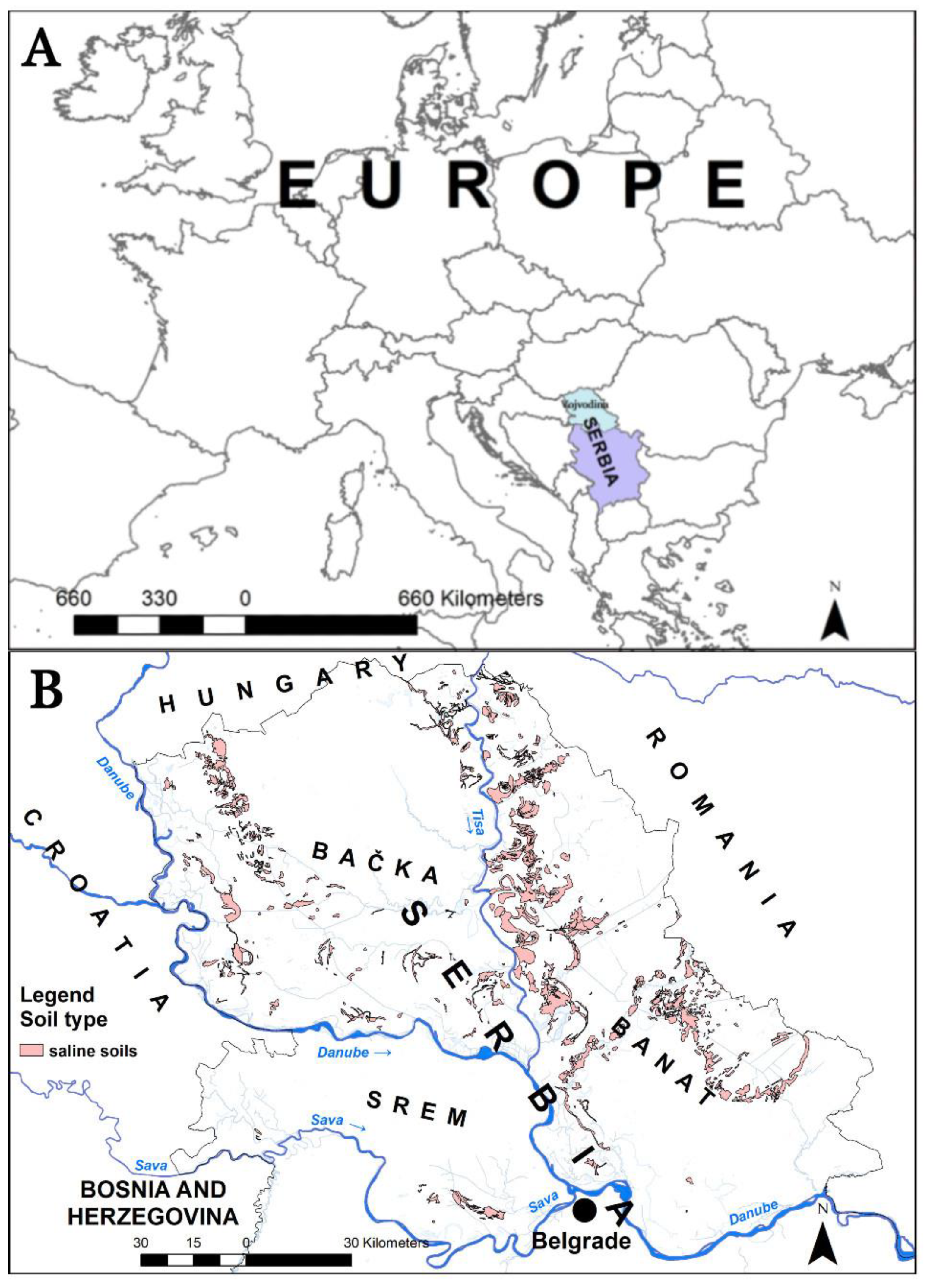 Sustainability 13 07891 g001