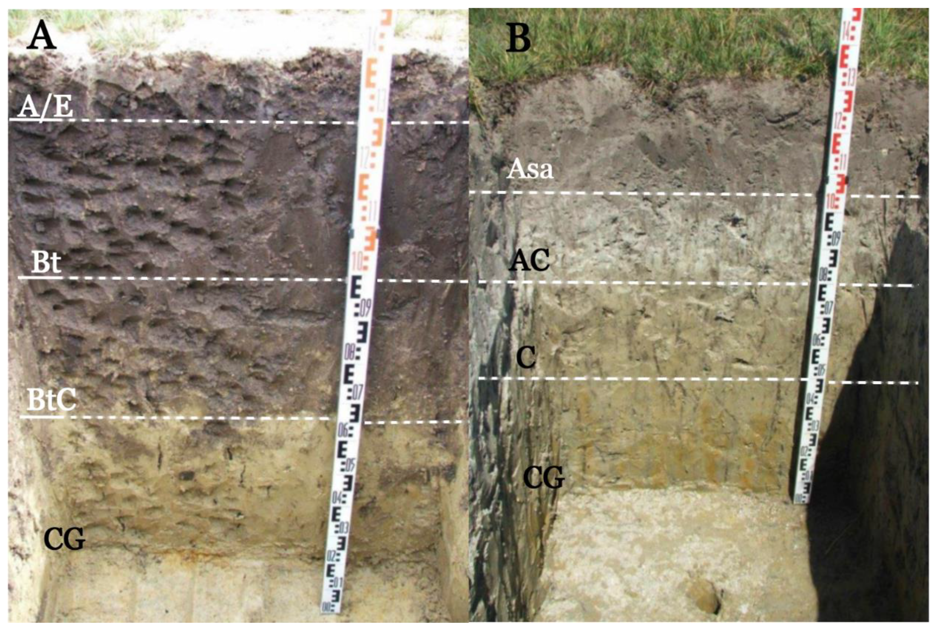 Sustainability 13 07891 g002