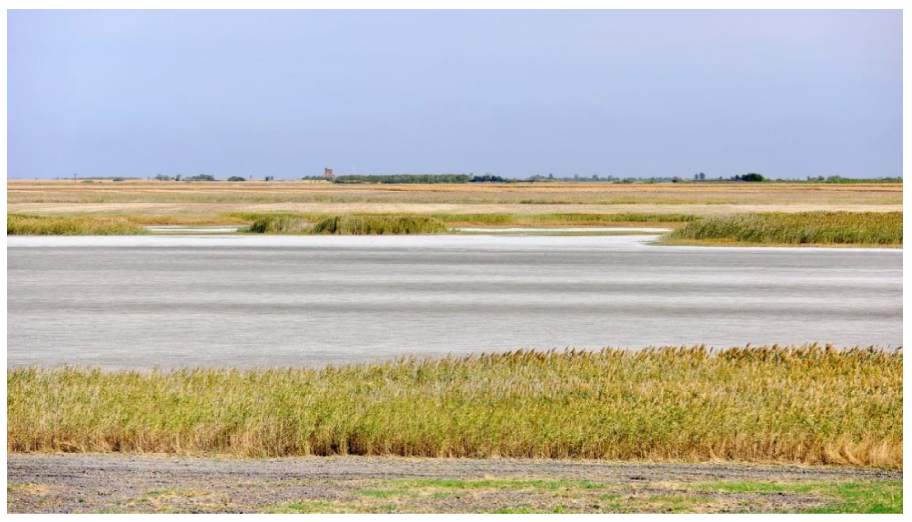 Sustainability 13 07891 g003