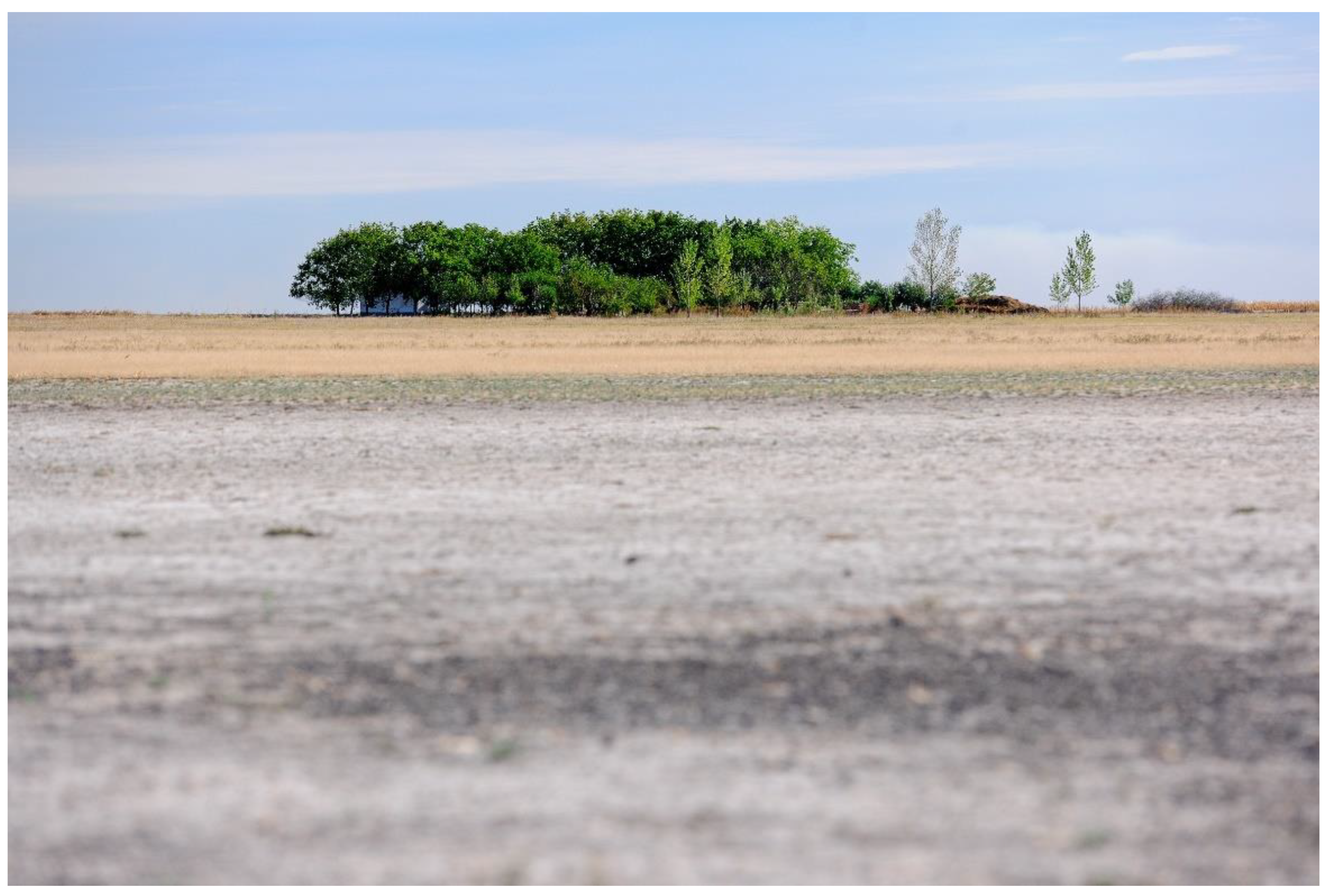 Sustainability 13 07891 g004