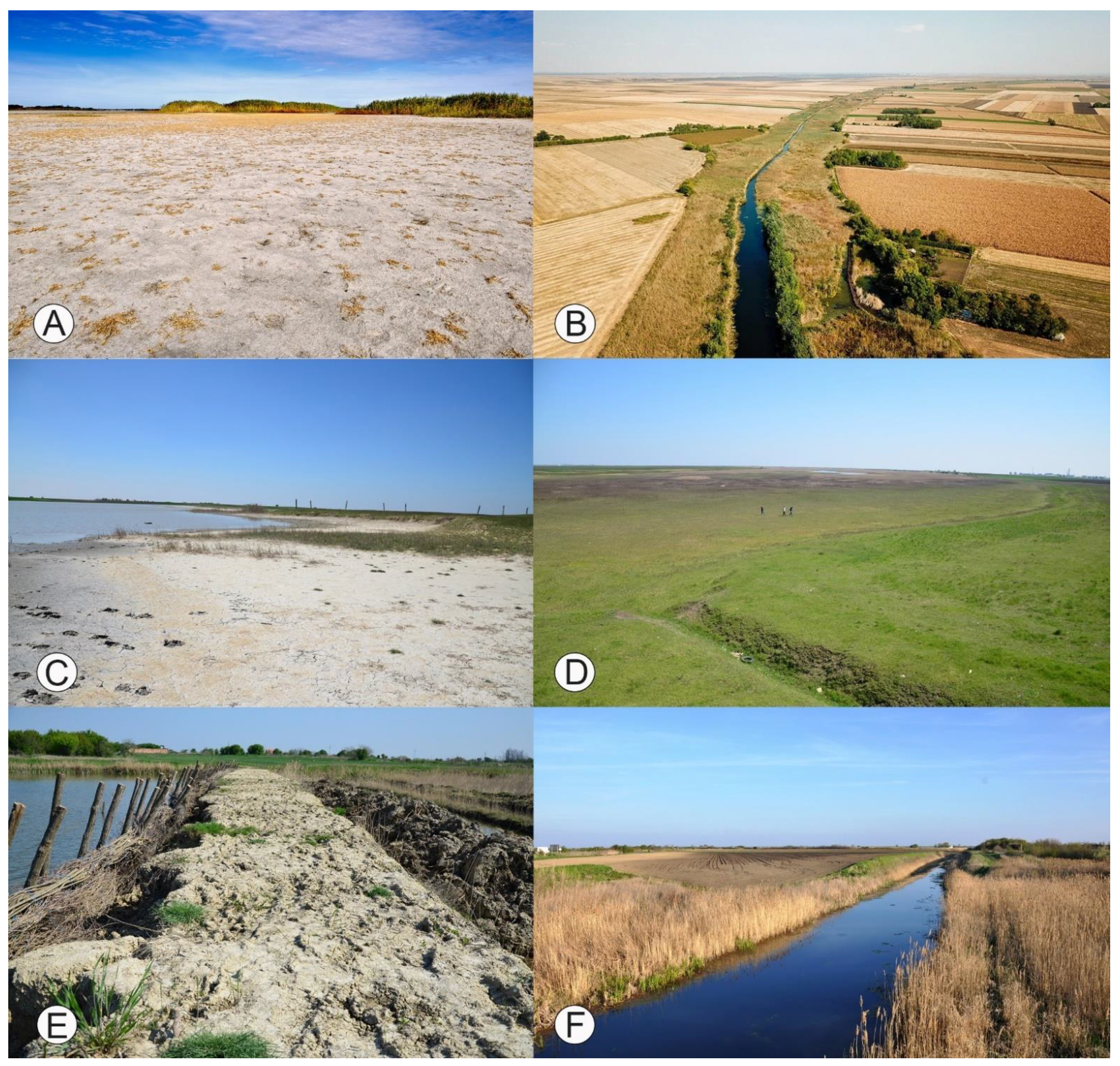 Sustainability 13 07891 g007