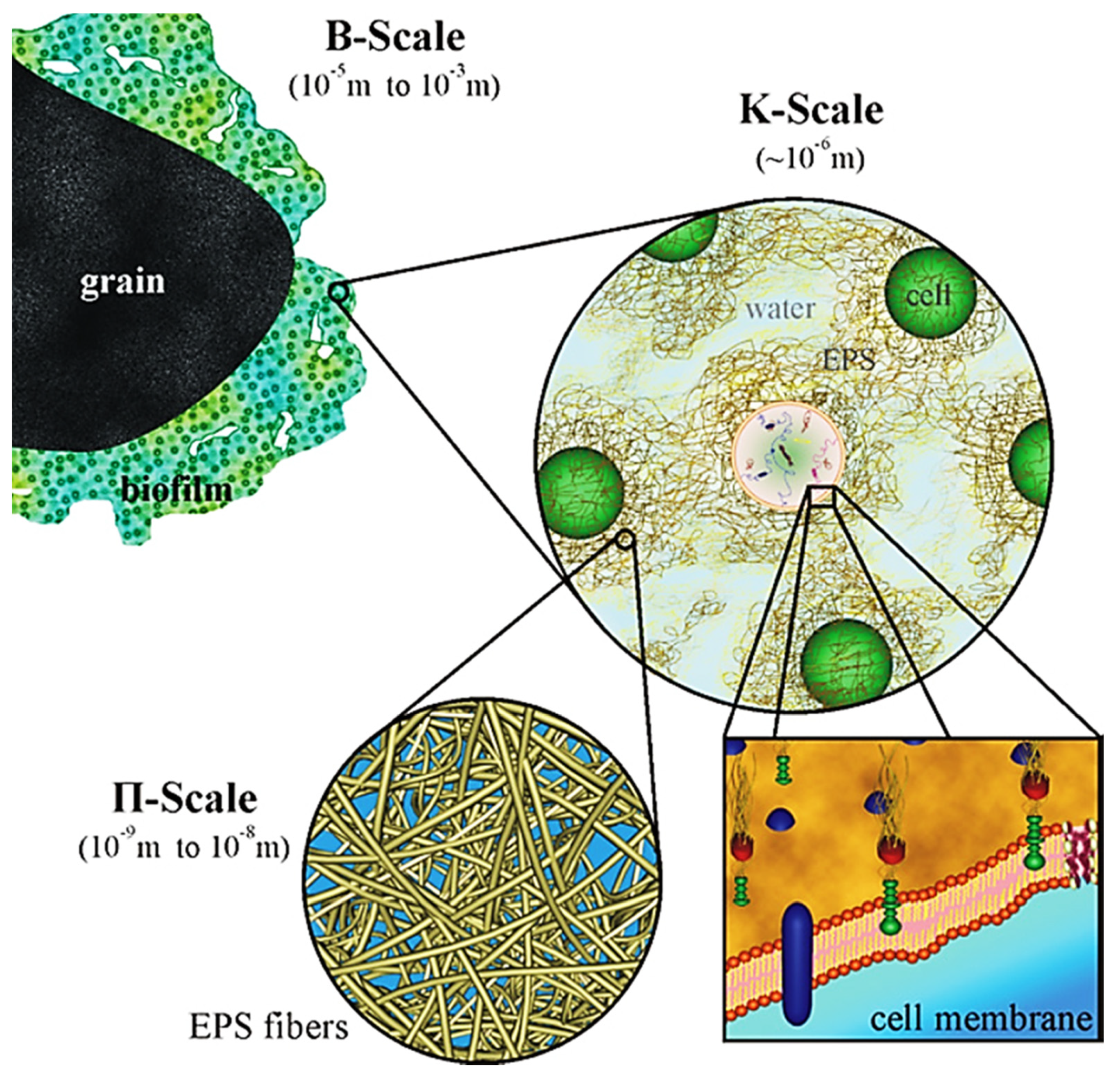 Sustainability 13 07968 g001