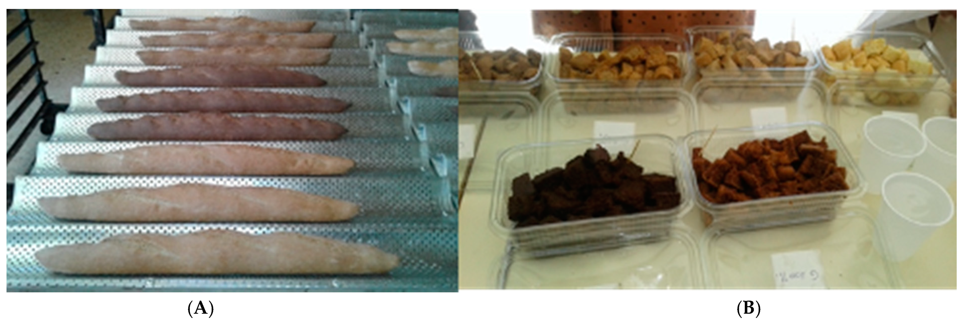 Sustainability 13 08026 g002