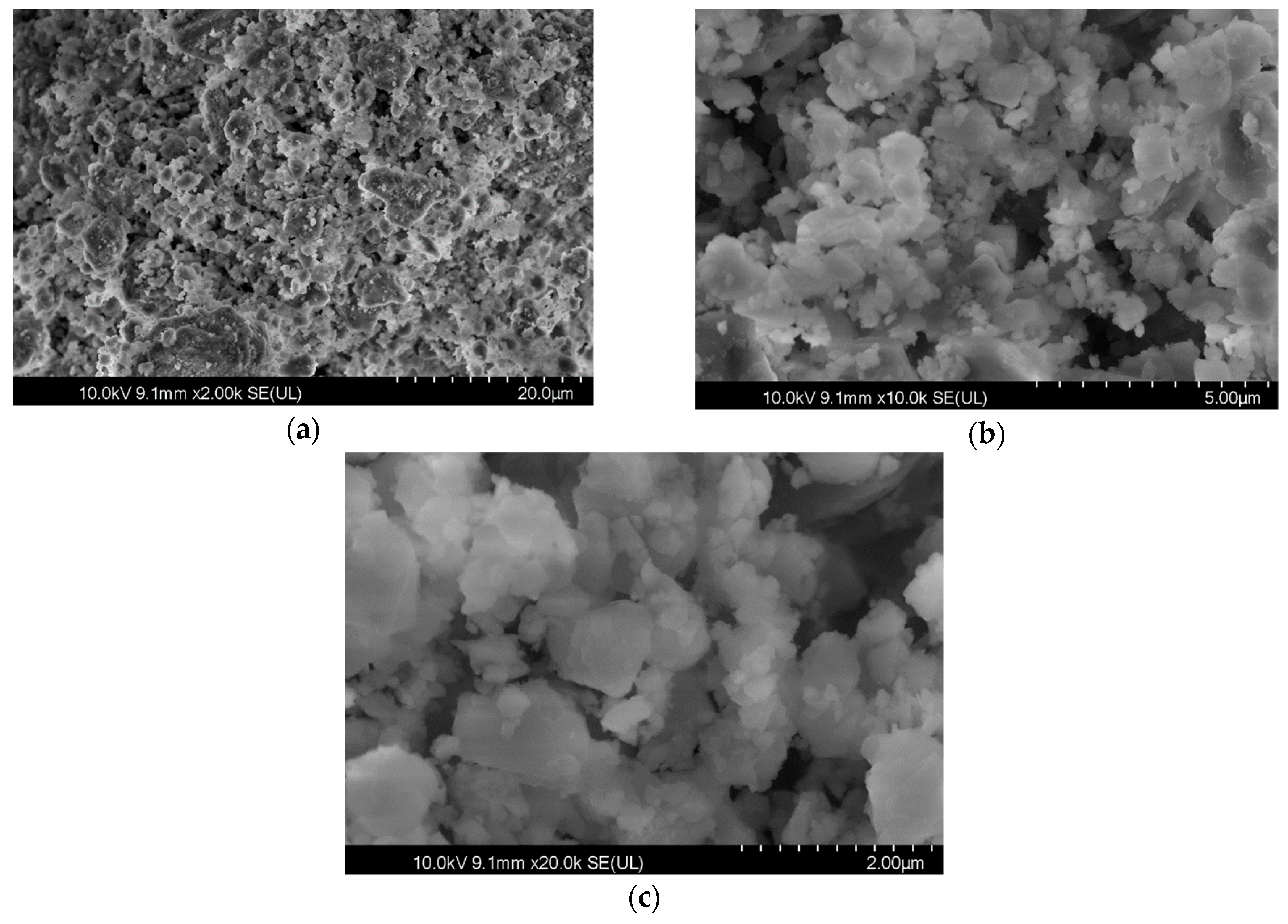 Sustainability 13 08068 g001