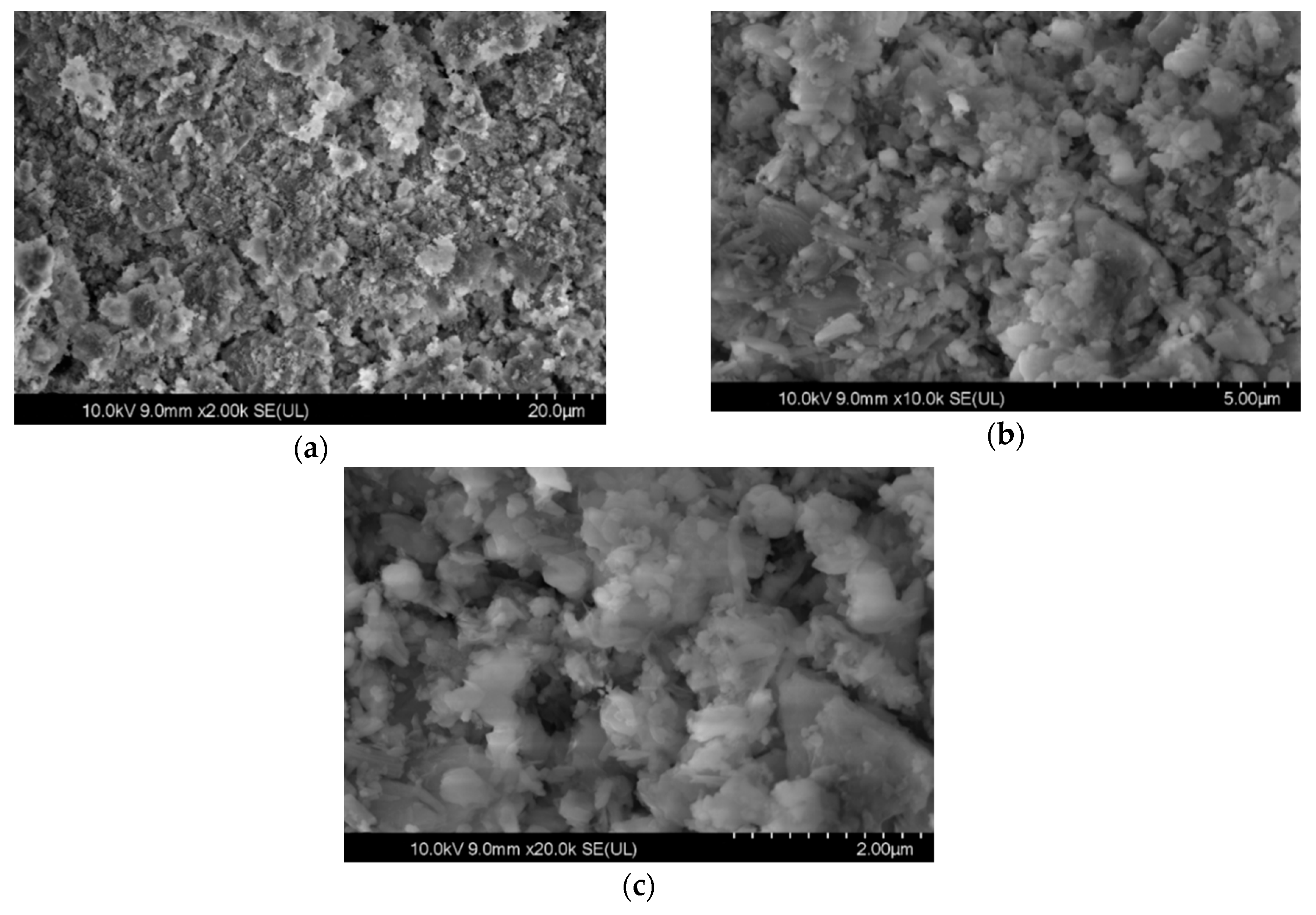 Sustainability 13 08068 g002