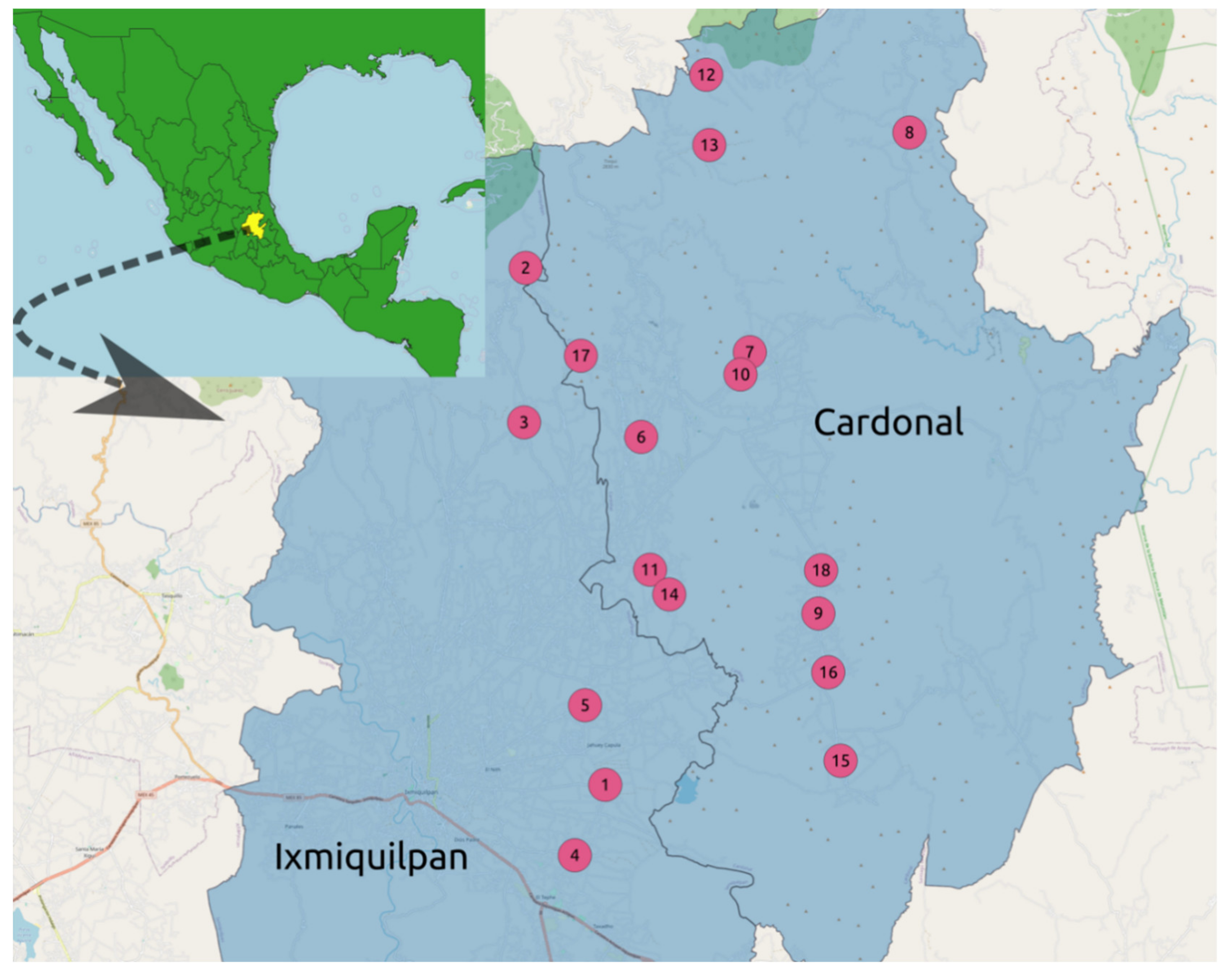 Sustainability 13 08075 g001