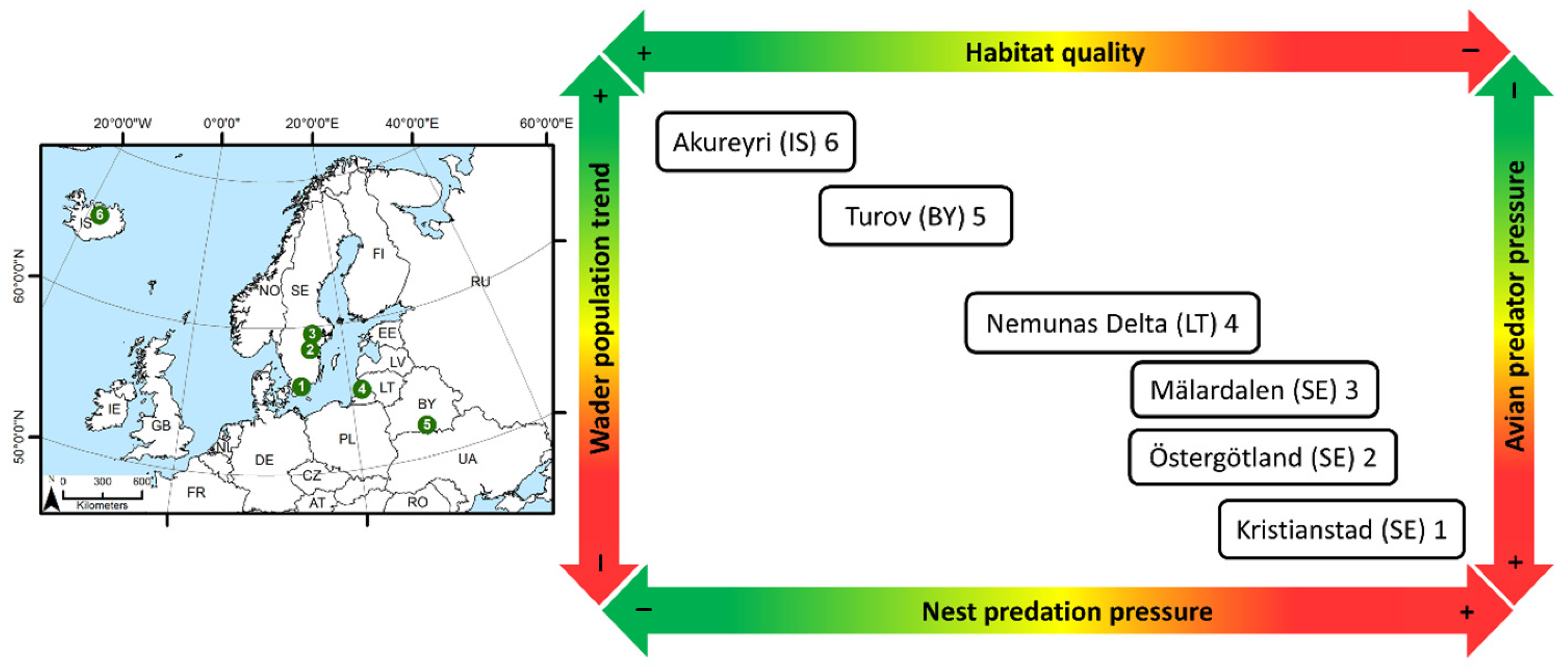 Sustainability 13 08138 g001