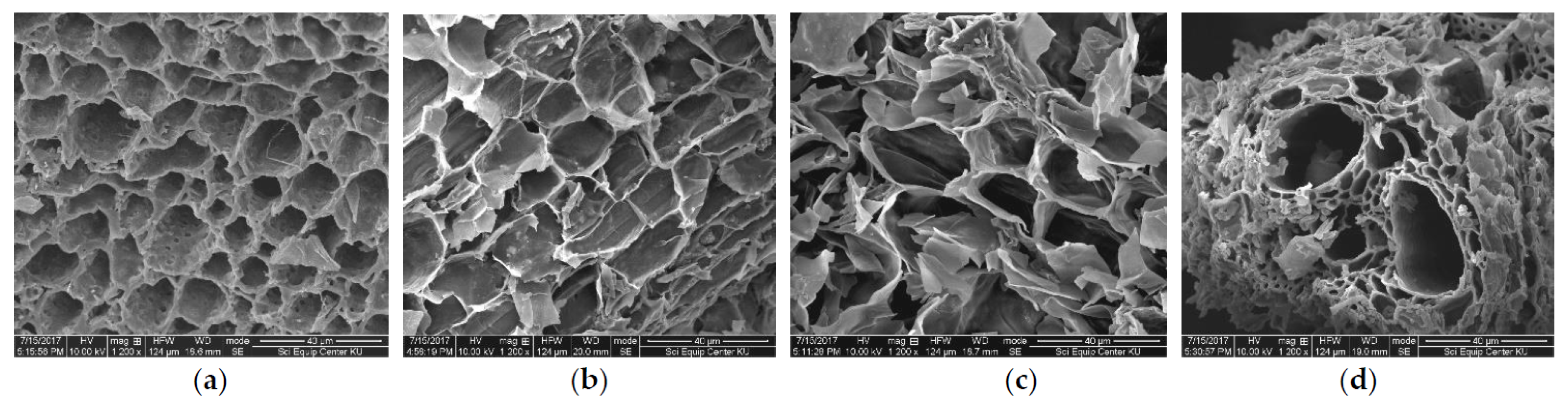 Sustainability 13 08147 g003