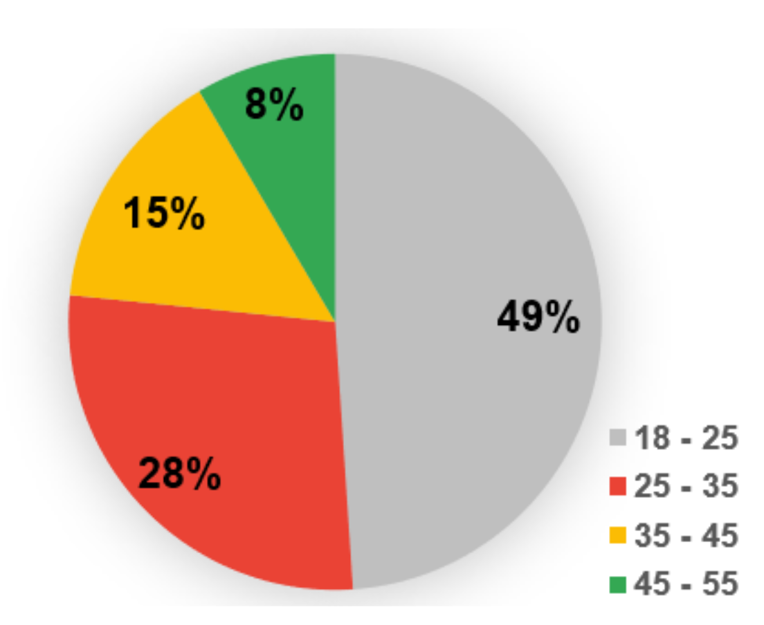 Sustainability 13 08155 g004