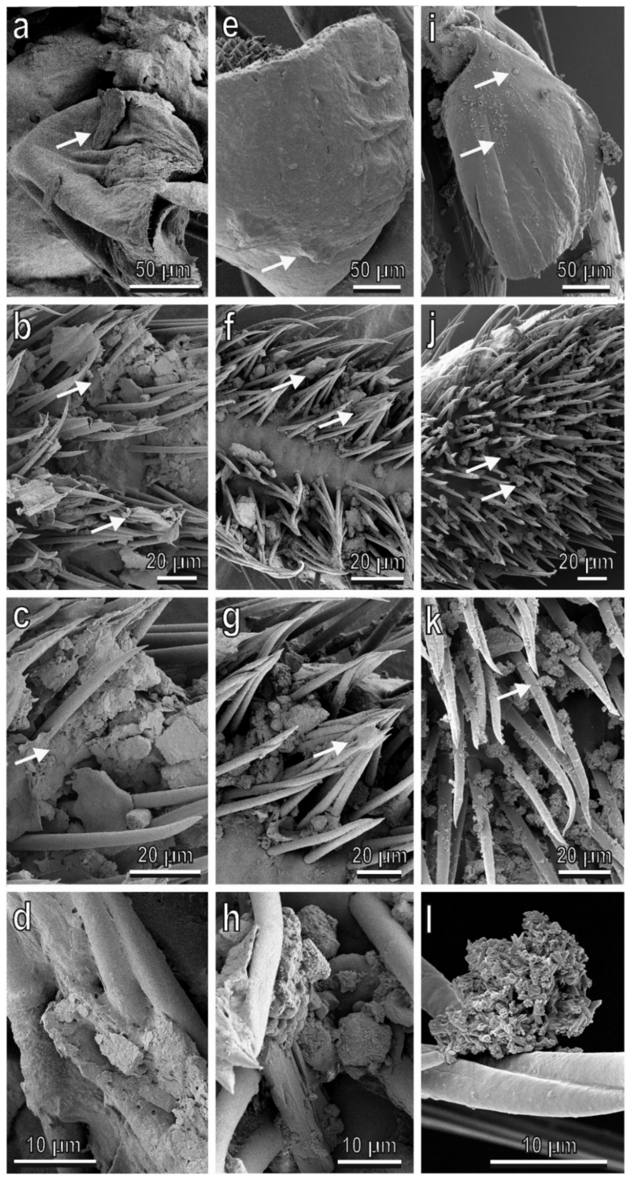 Sustainability 13 08250 g007