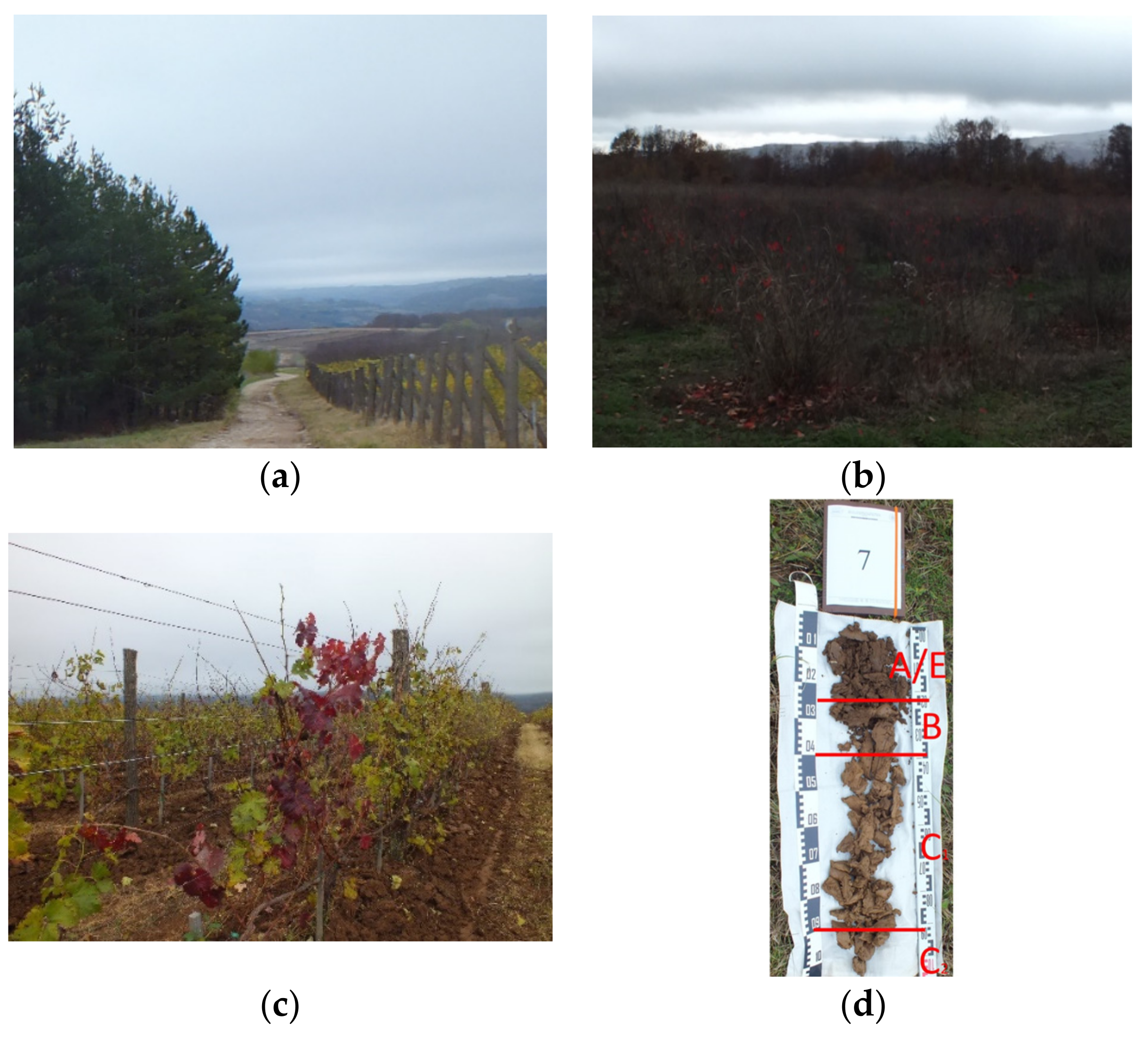 Sustainability 13 08332 g007 Sustainability 13 08332 g007