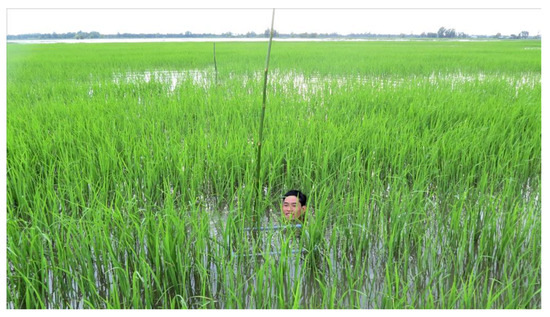 Sustainability 13 08354 g0a1