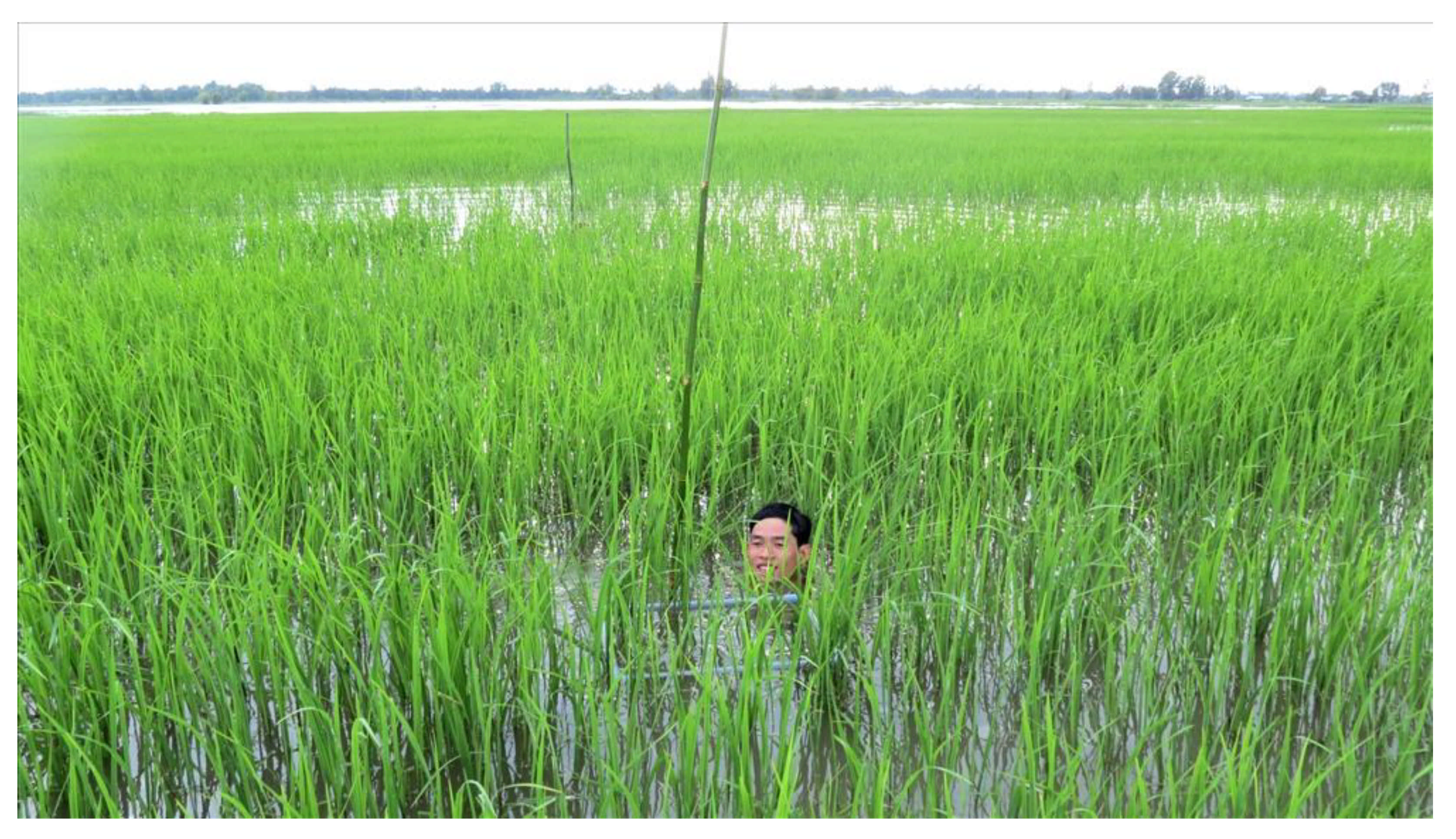 Sustainability 13 08354 g0a1