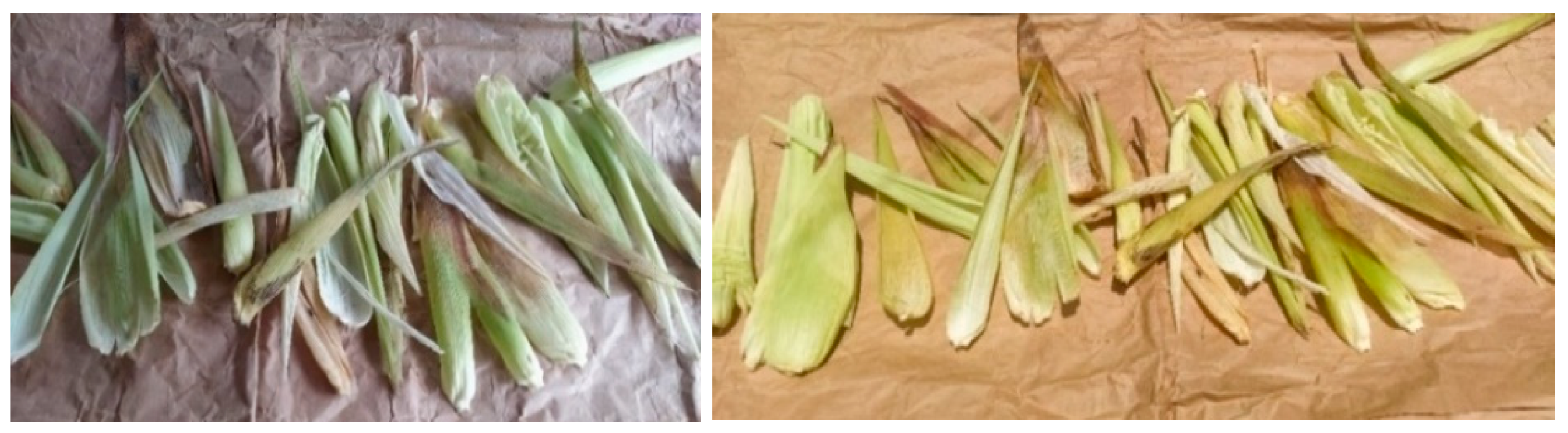 Sustainability 13 08356 g005