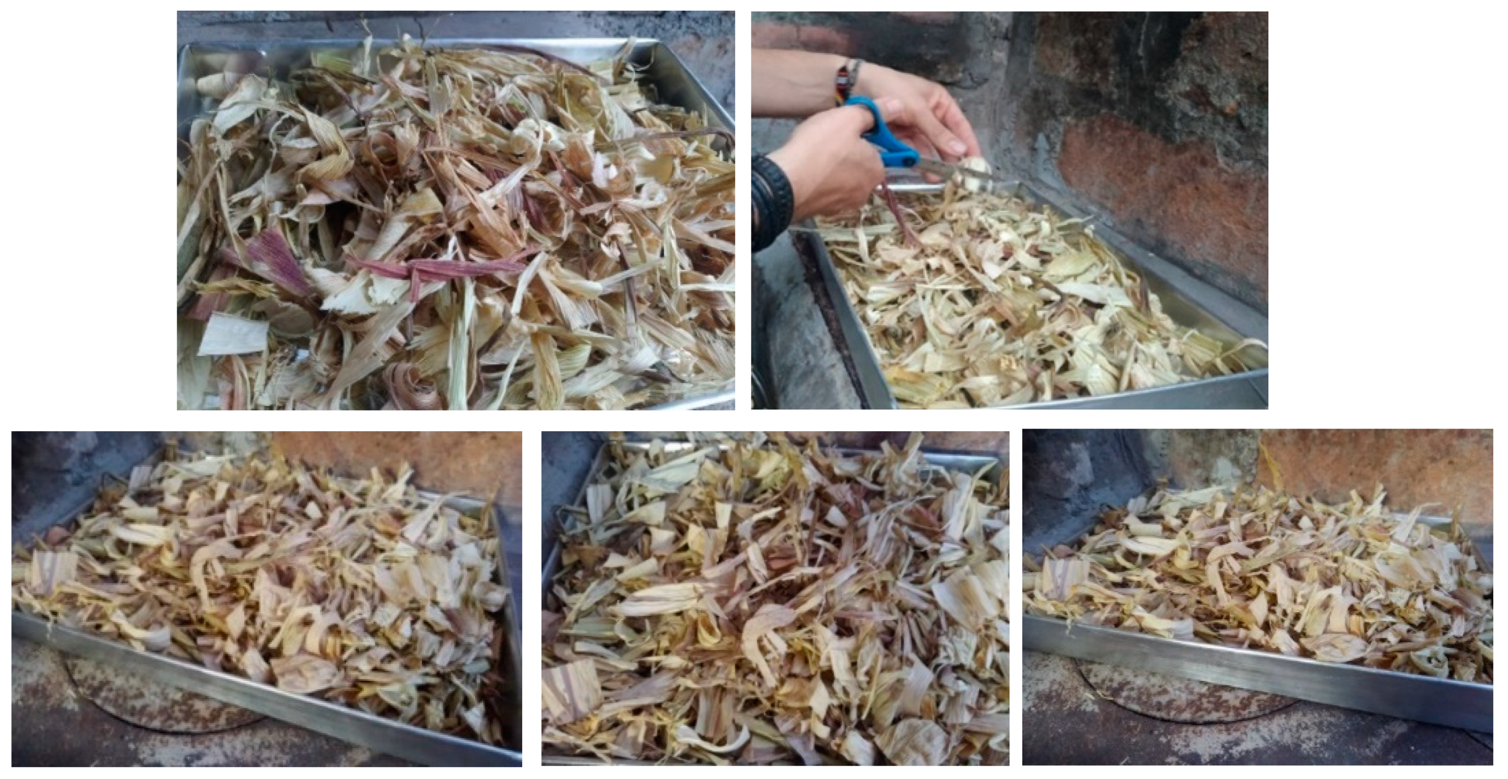 Sustainability 13 08356 g006