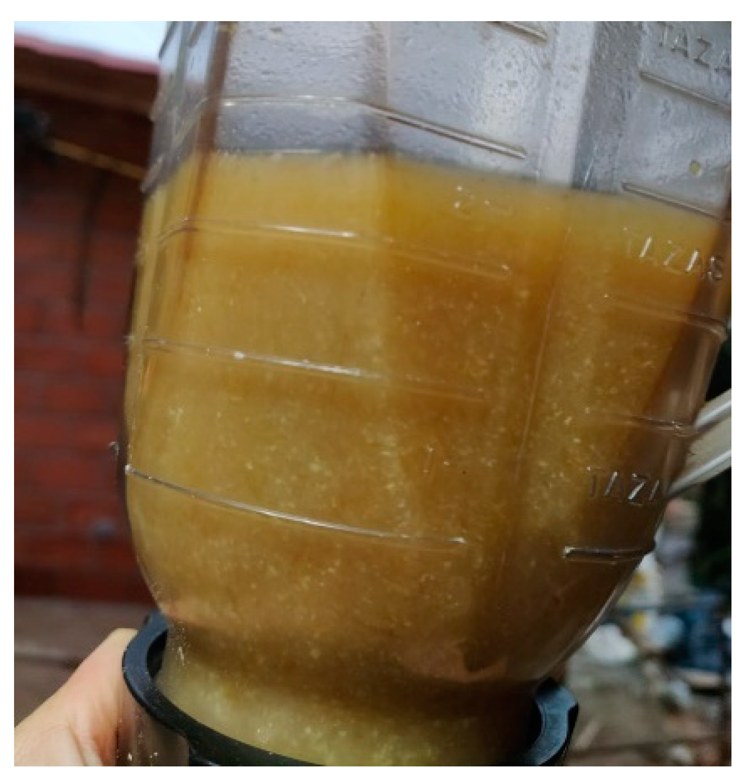 Sustainability 13 08356 g009