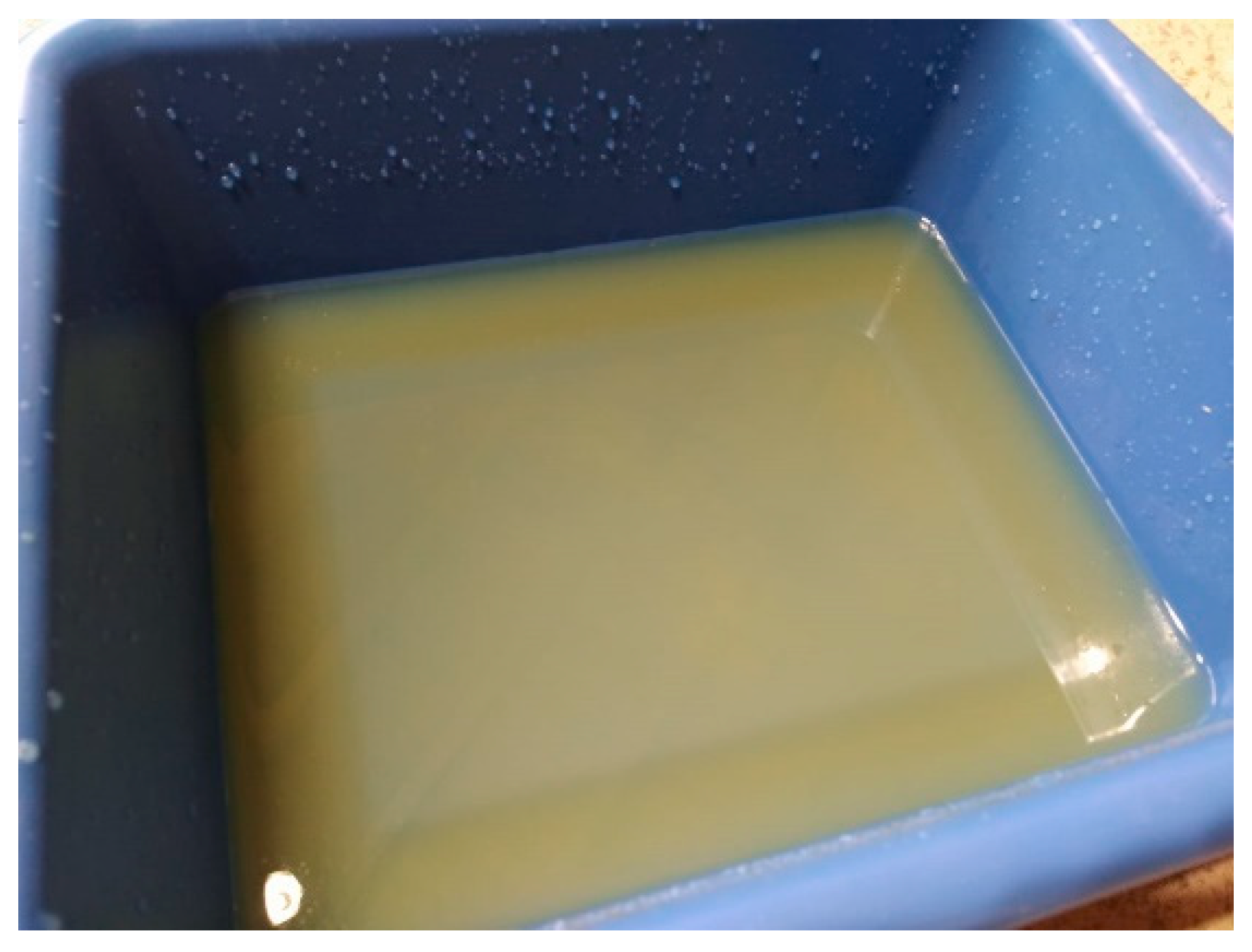 Sustainability 13 08356 g010