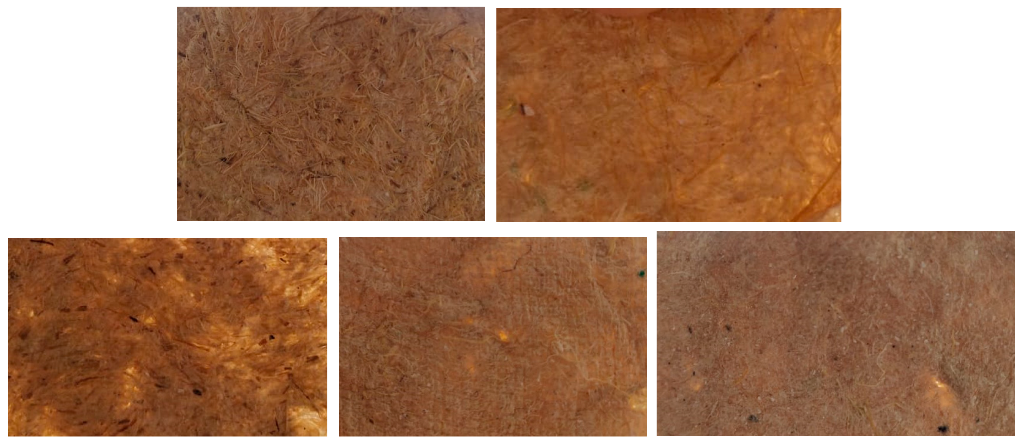 Sustainability 13 08356 g014