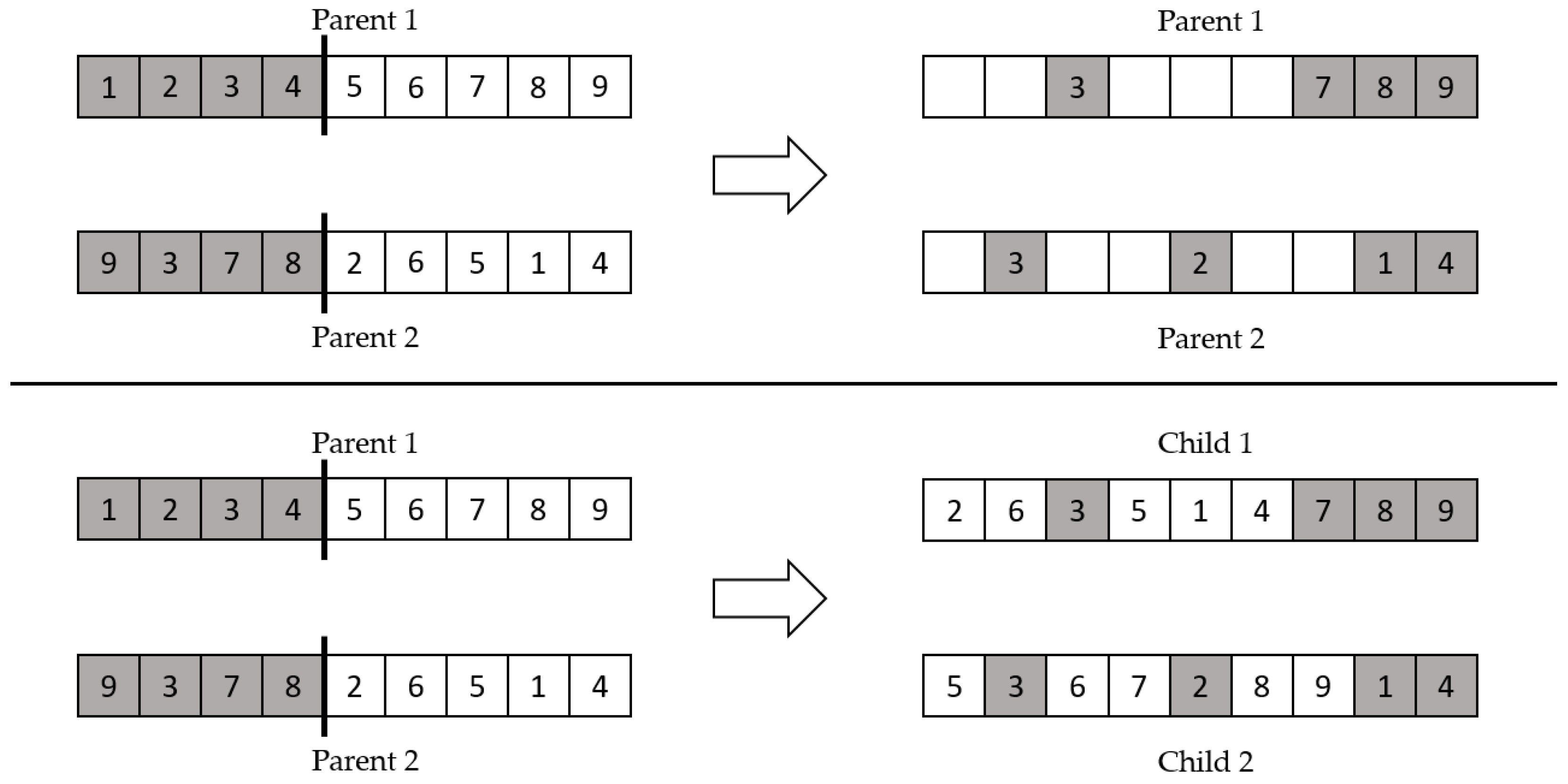 Sustainability 13 08381 g007