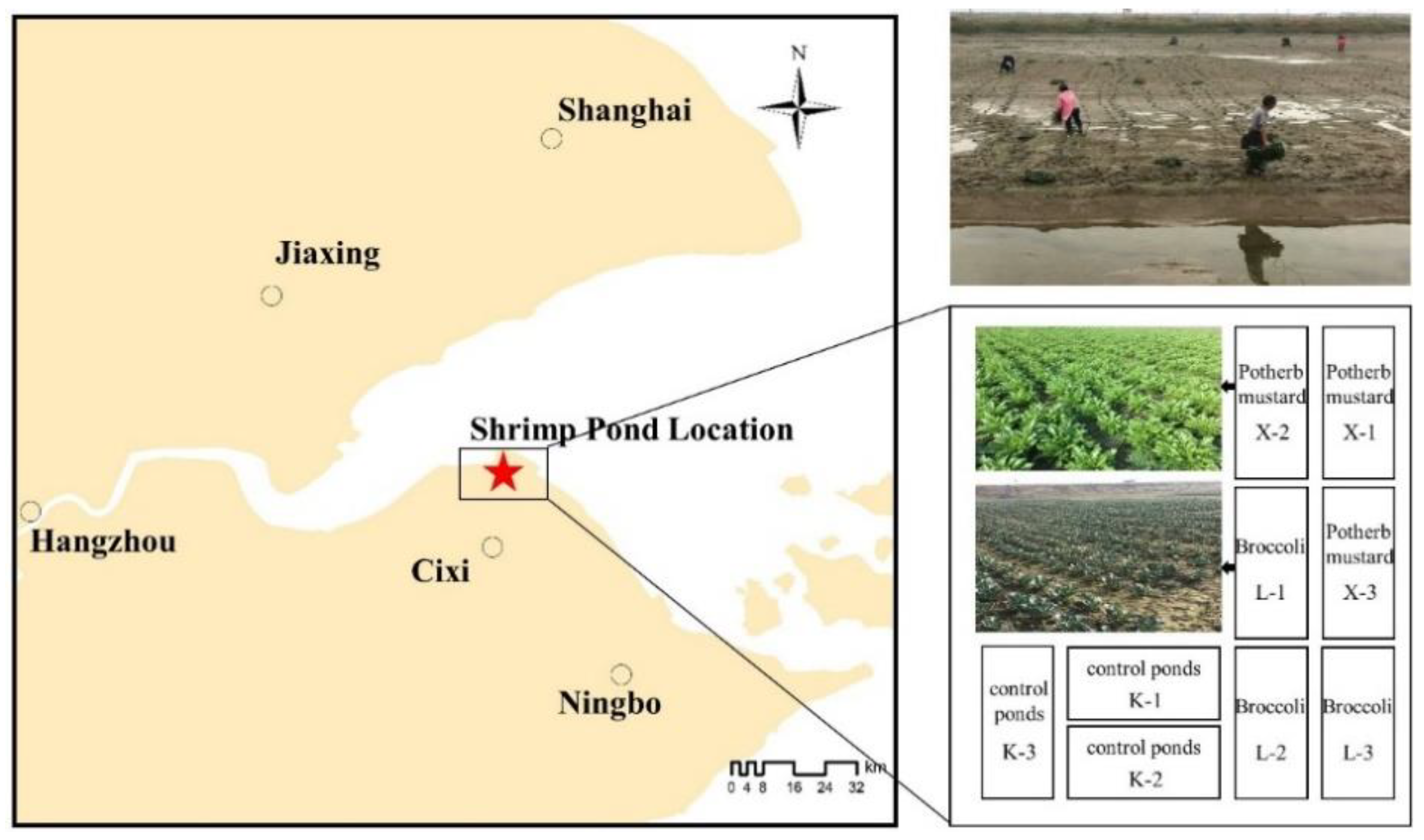 Sustainability 13 08400 g001