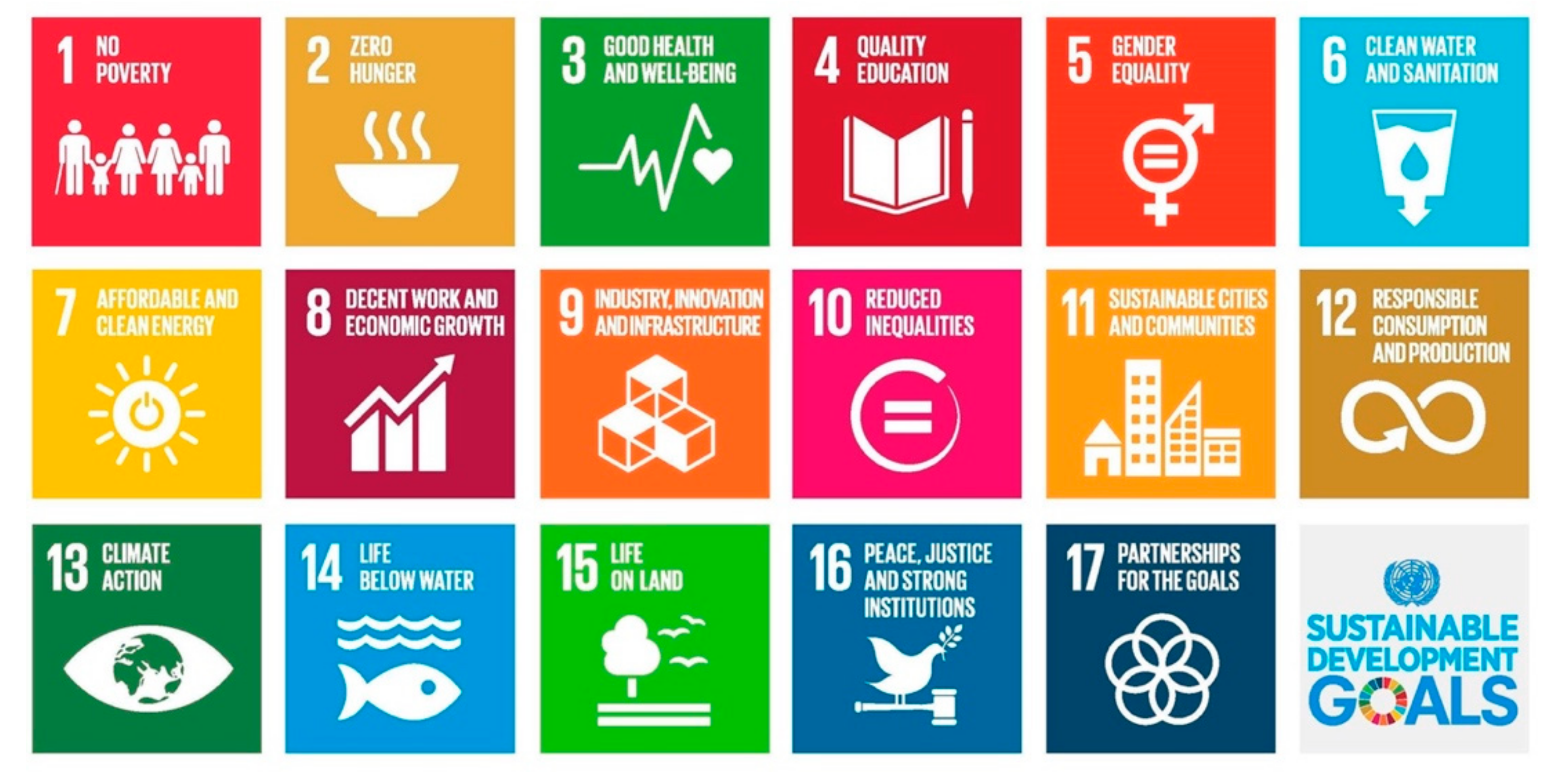 Sustainability 13 08503 g001