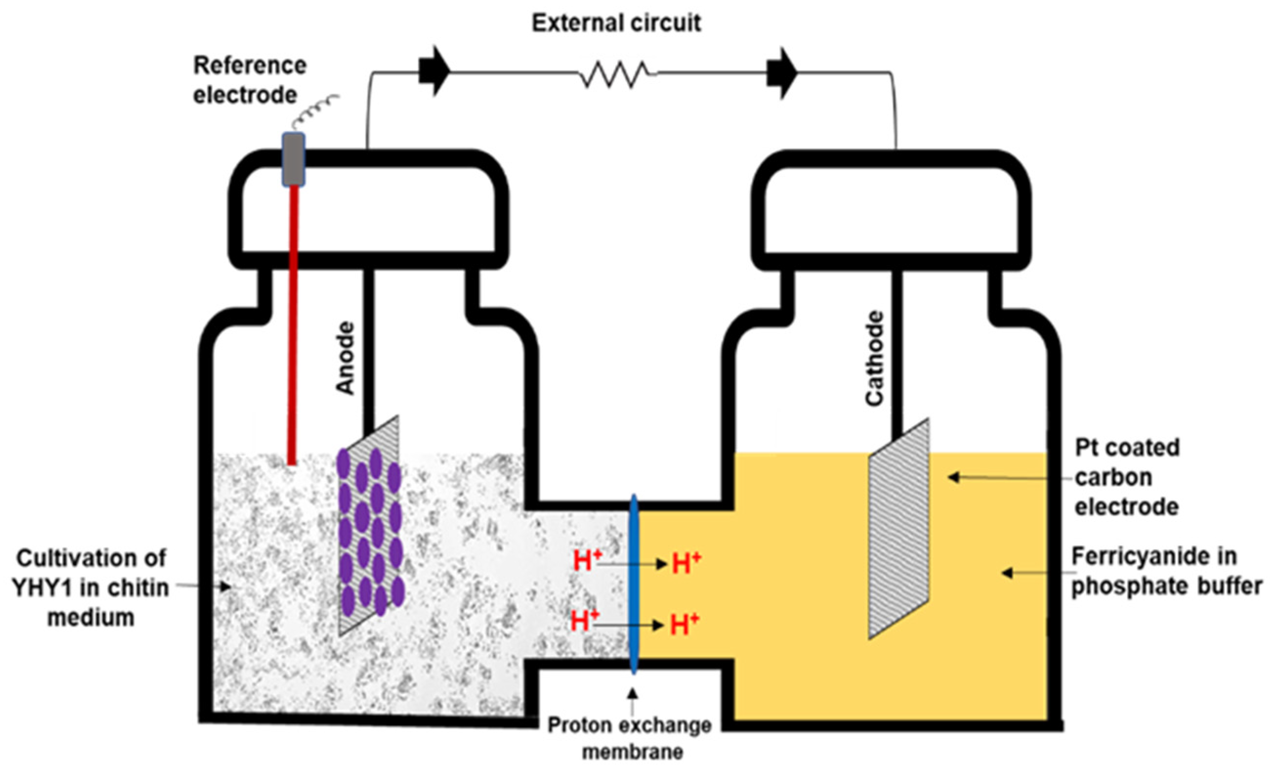 Sustainability 13 08508 g001