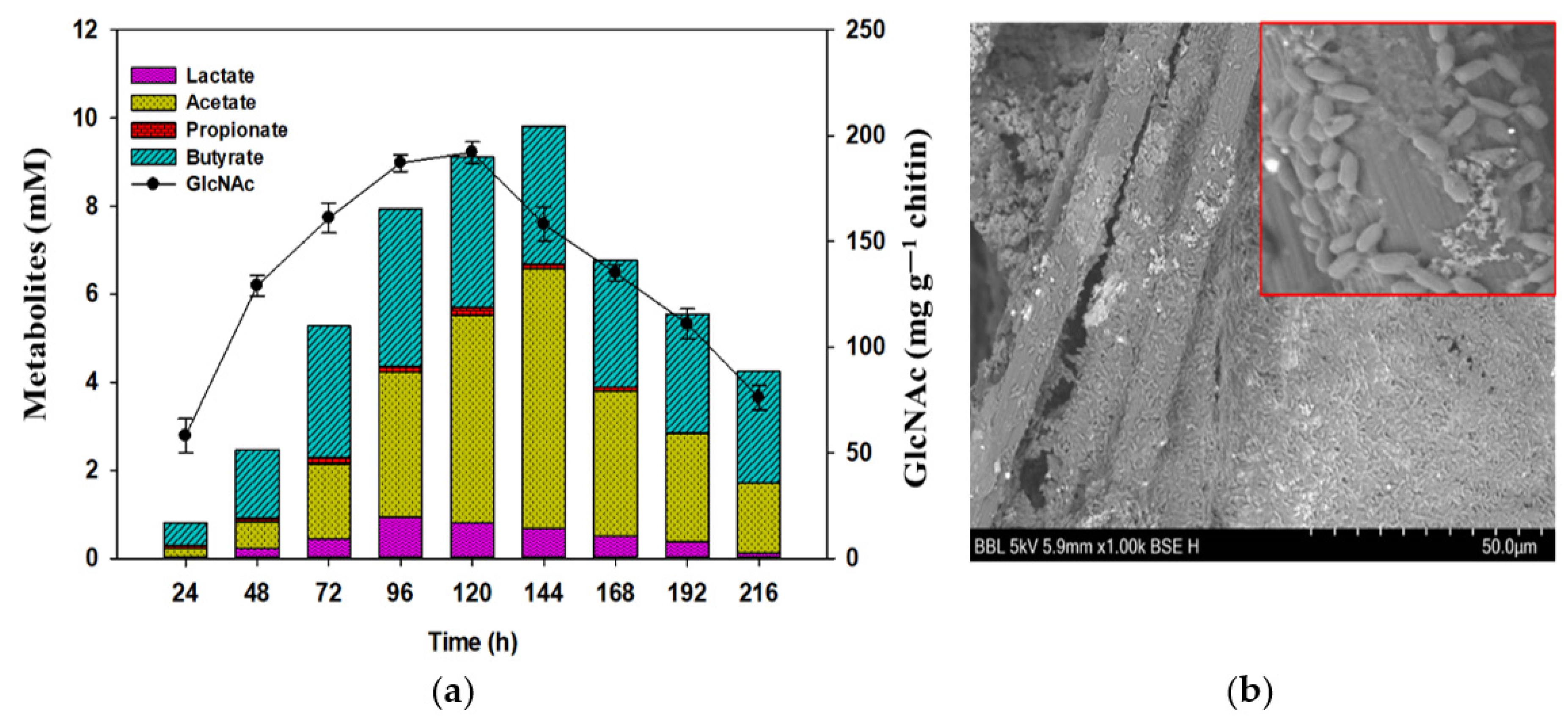 Sustainability 13 08508 g004