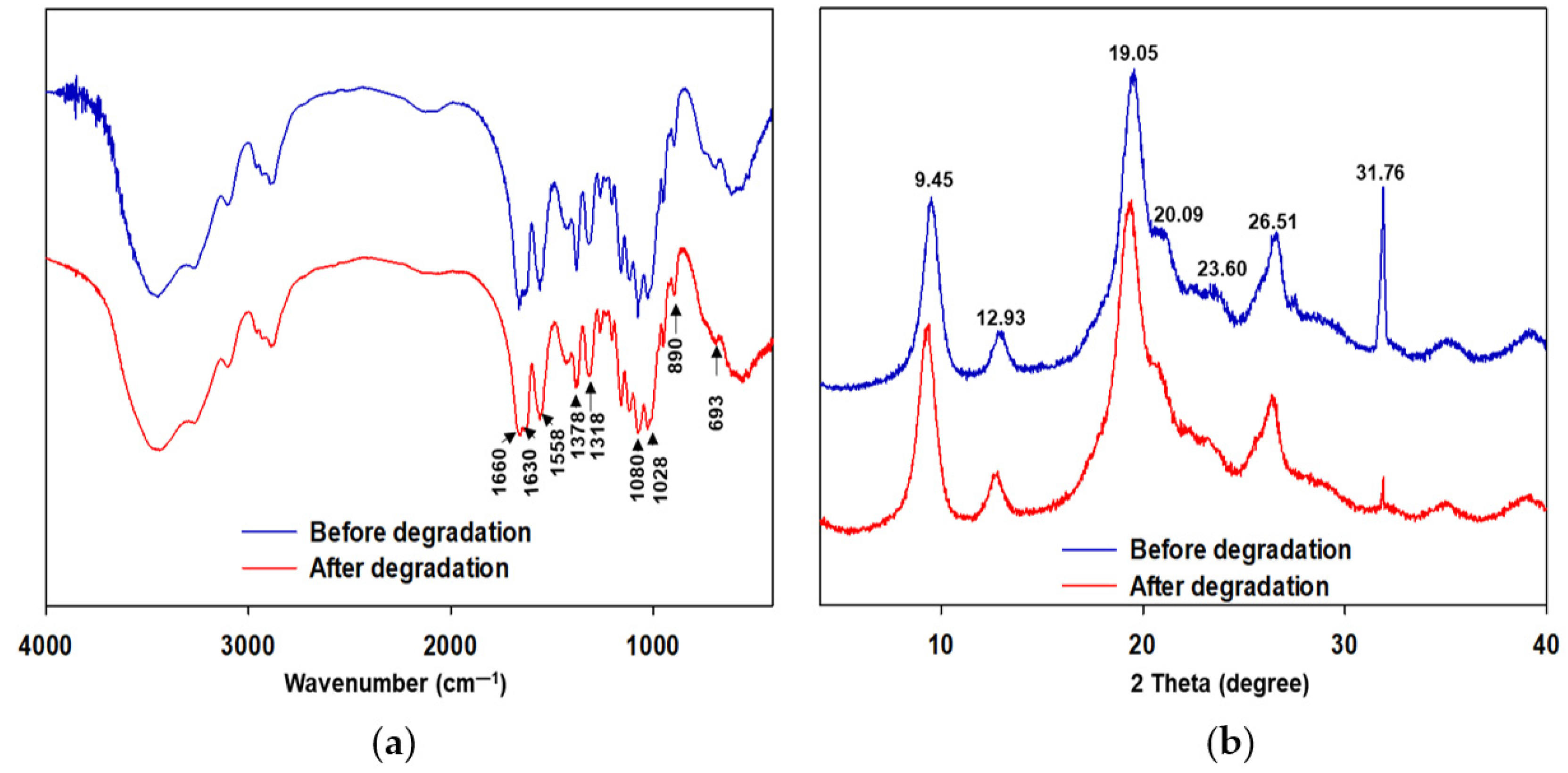 Sustainability 13 08508 g005